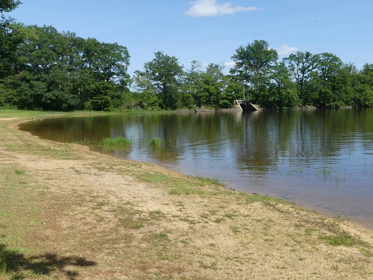 Le Lac du Bourdon