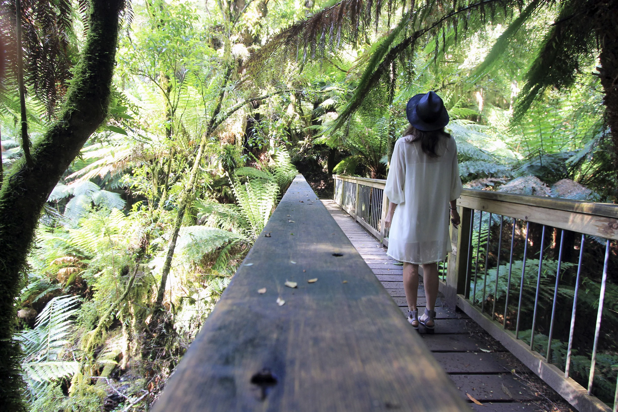 bridge-outfit-style-great-otway-national-park-ferns.jpg