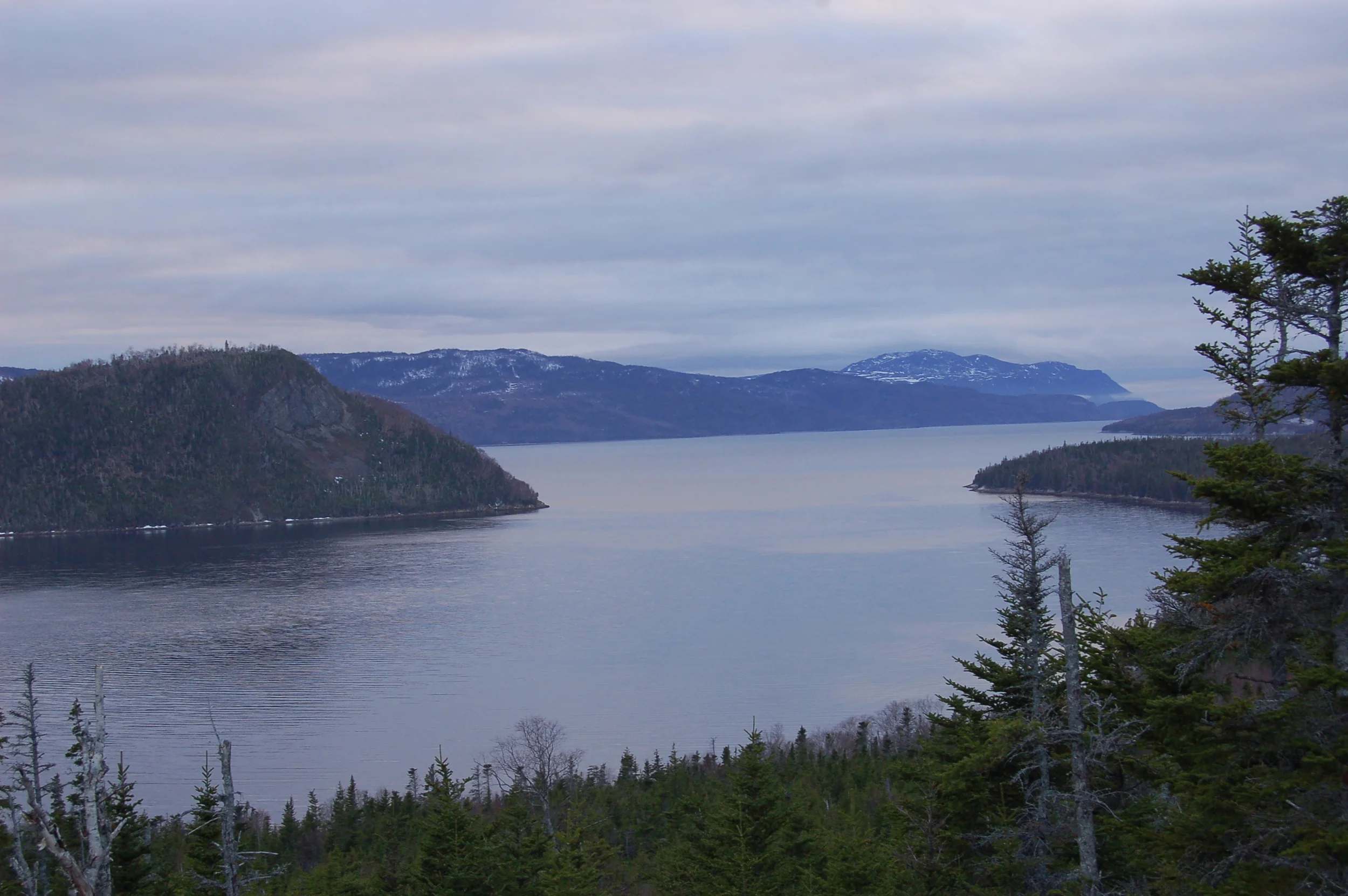 DSC_0168.JPG