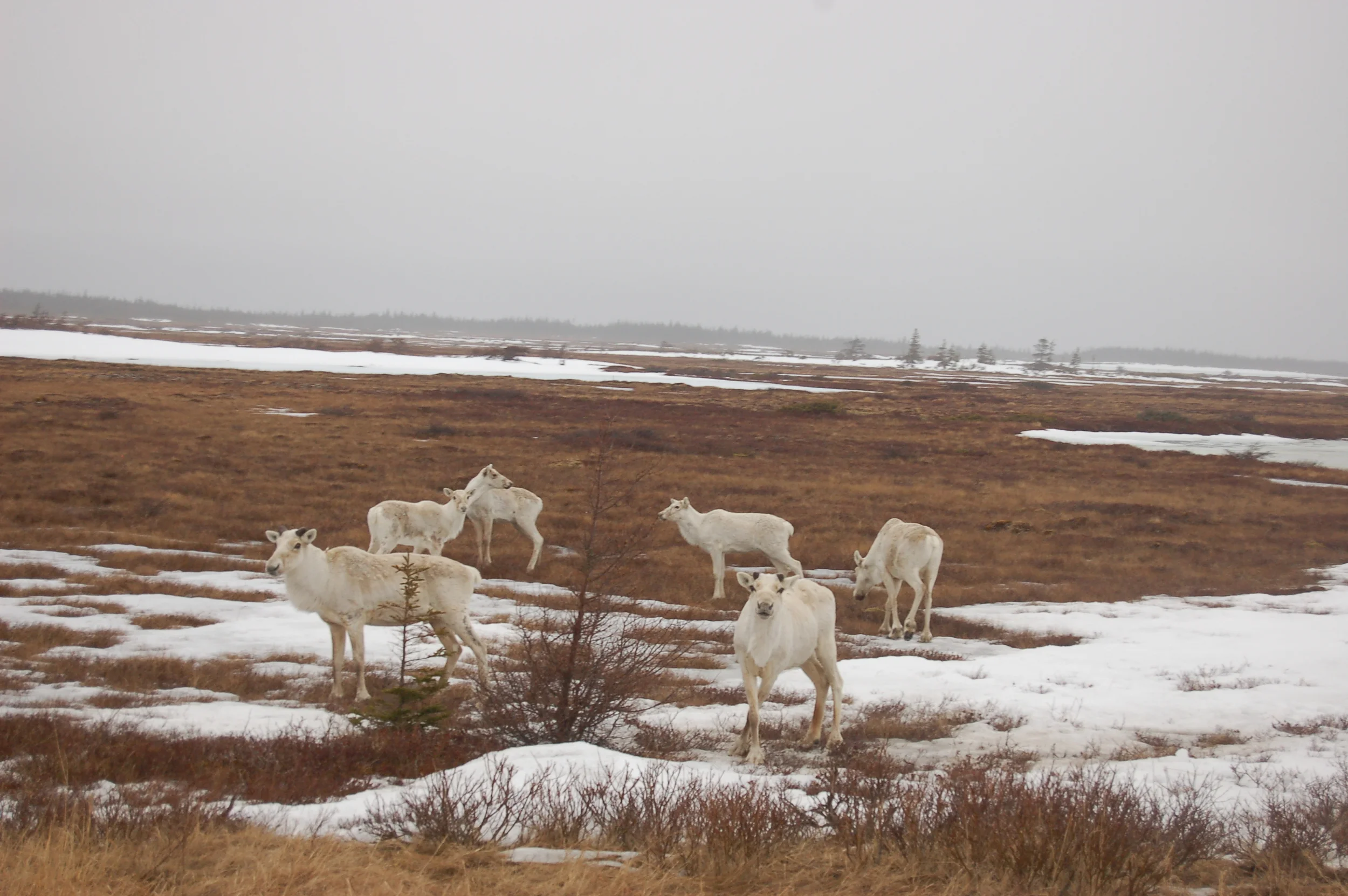 DSC_0215.JPG