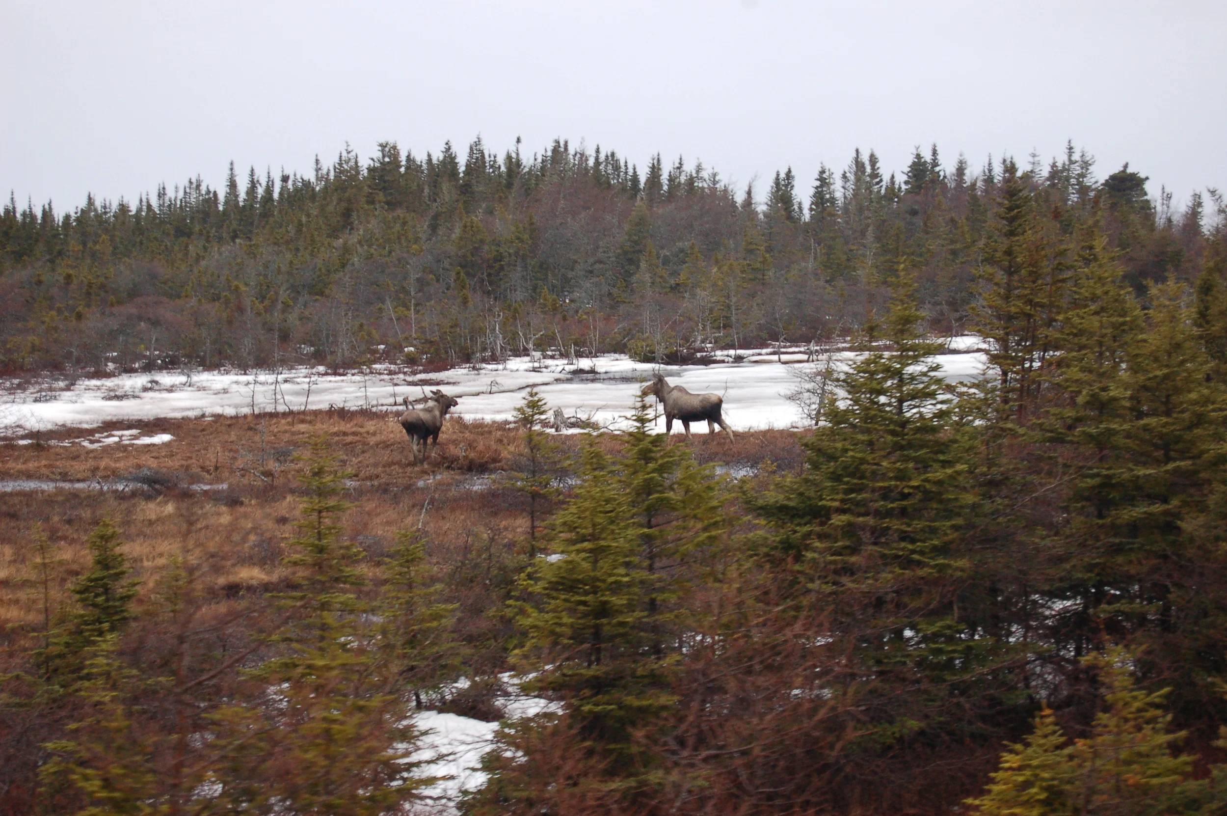 DSC_0220.JPG