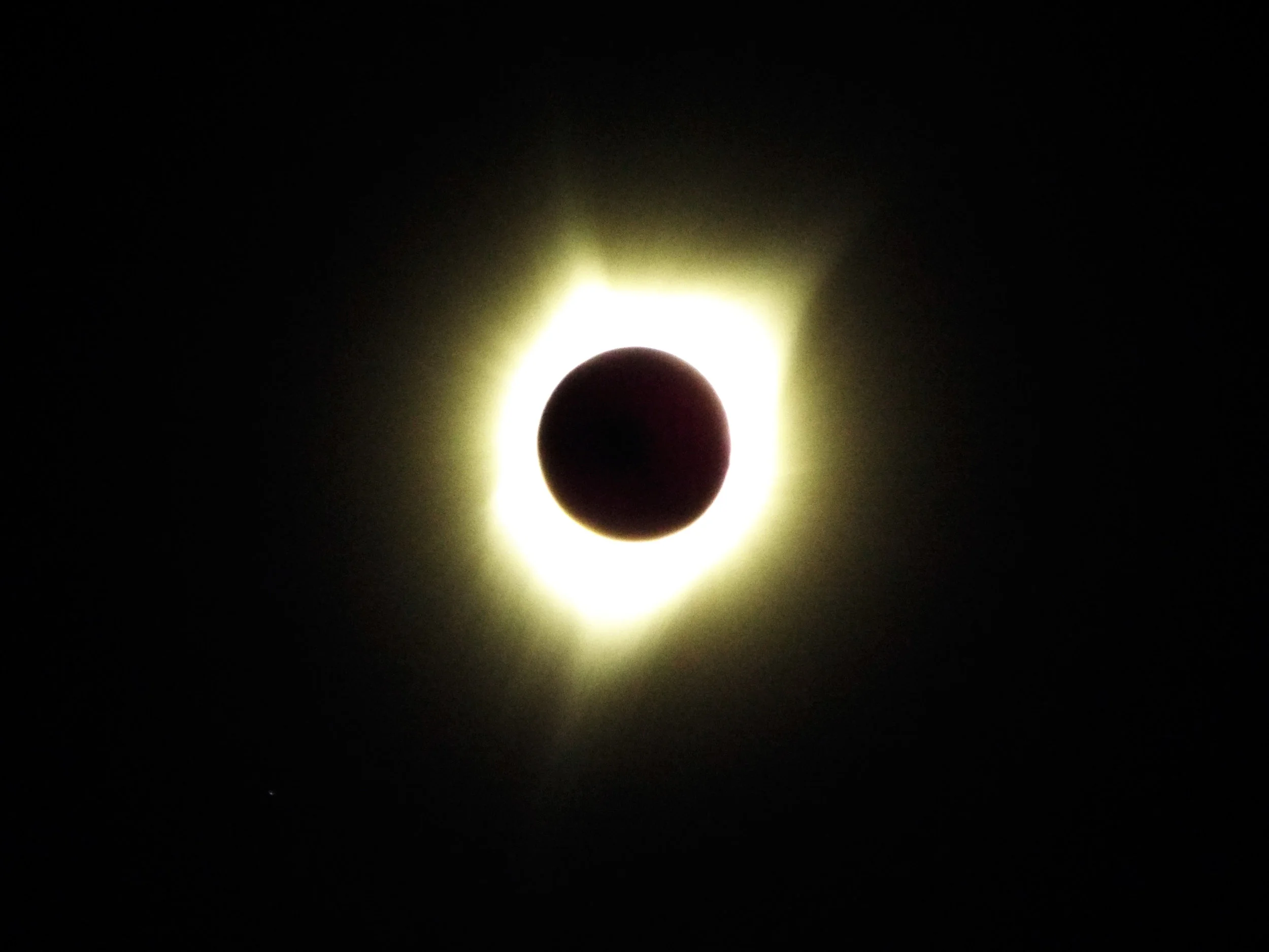 DSCF1351.jpg