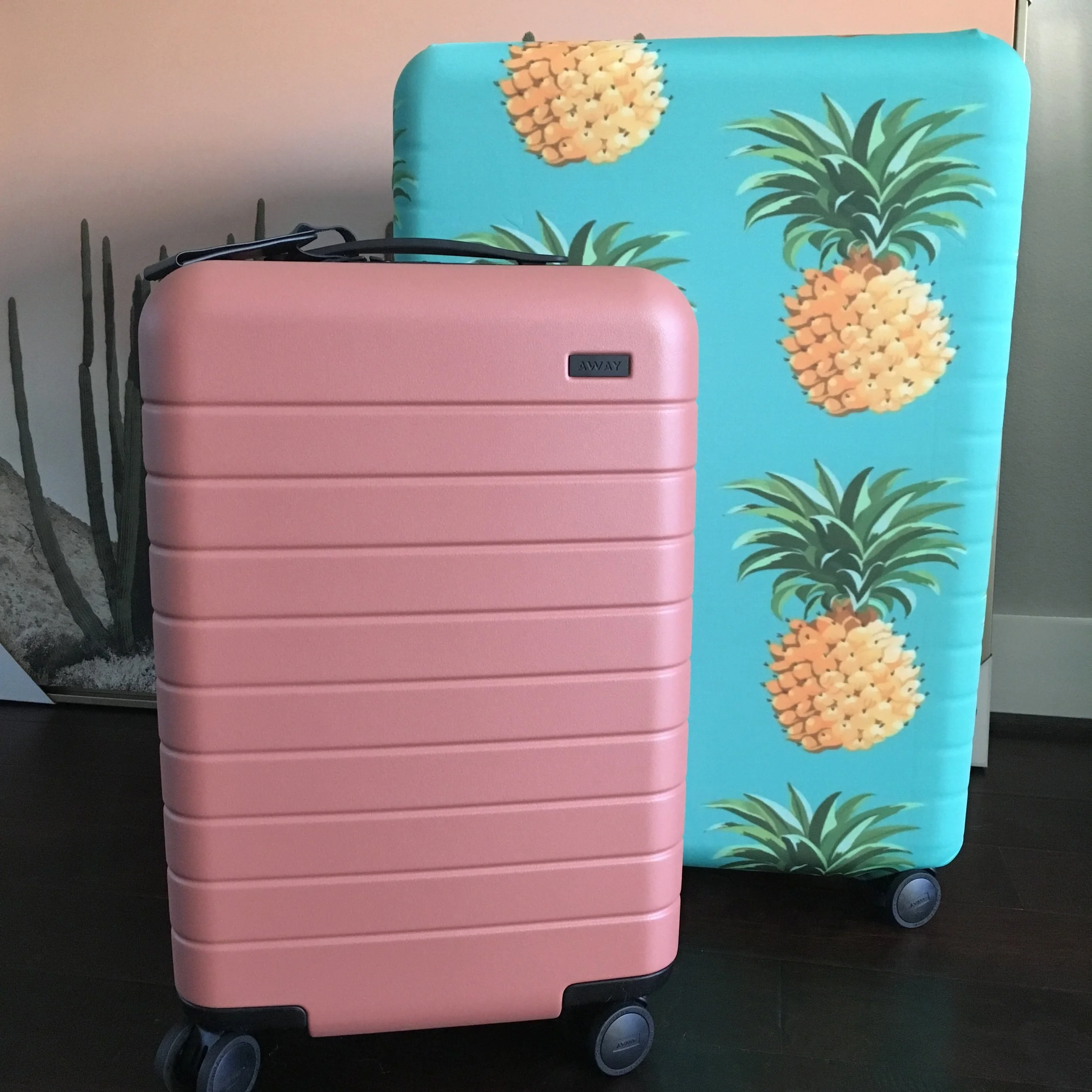 ISO: The Perfect Carry-On