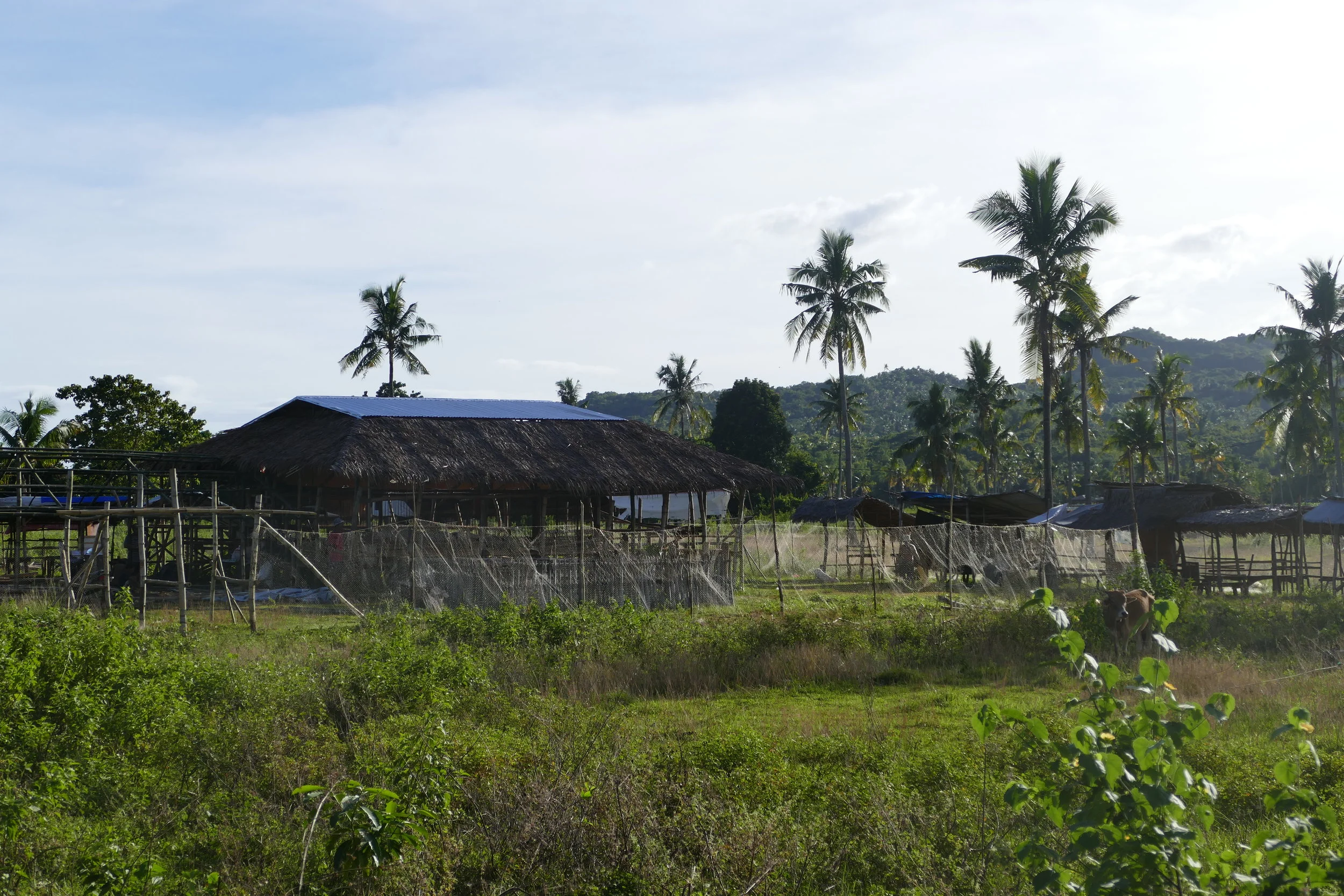 P1010032.JPG
