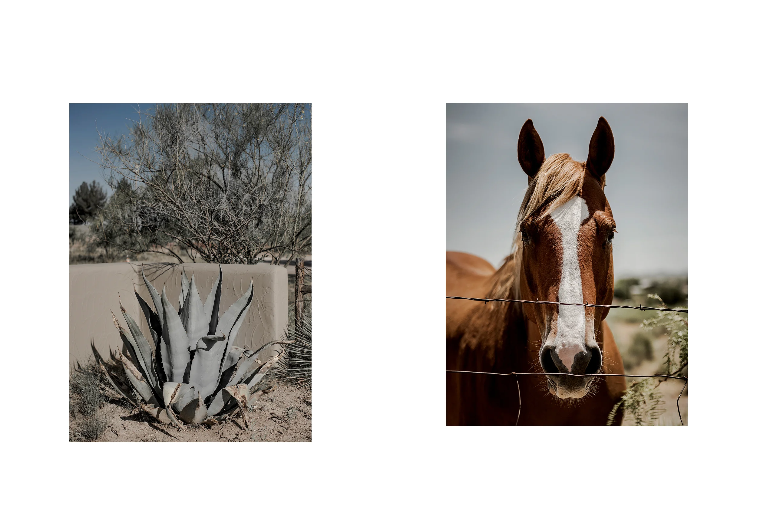 TONYLI-MARFA-2019-003.jpg