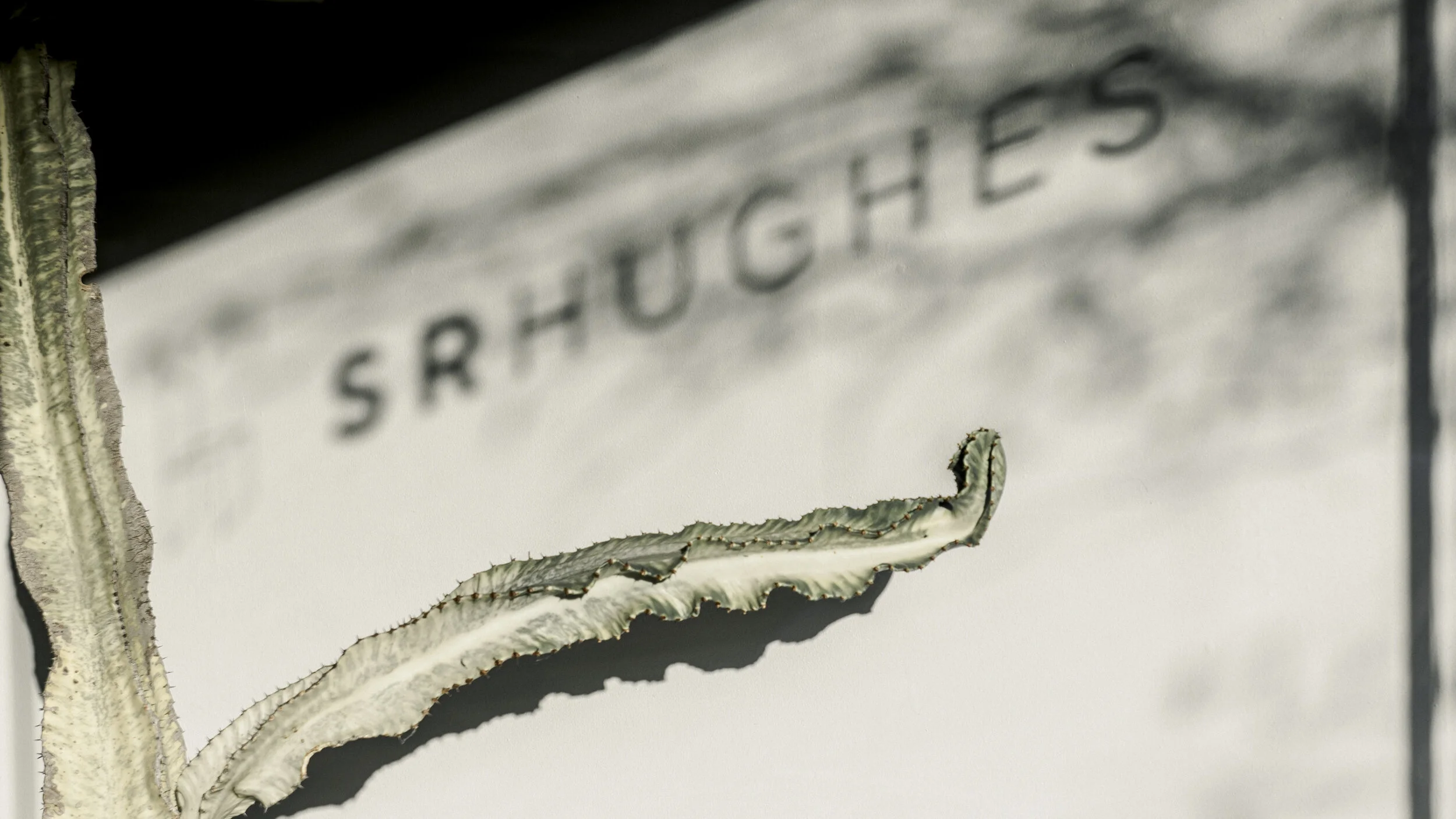 SRHUGHES-WINDOW-TONYLI-20201220-010.jpg