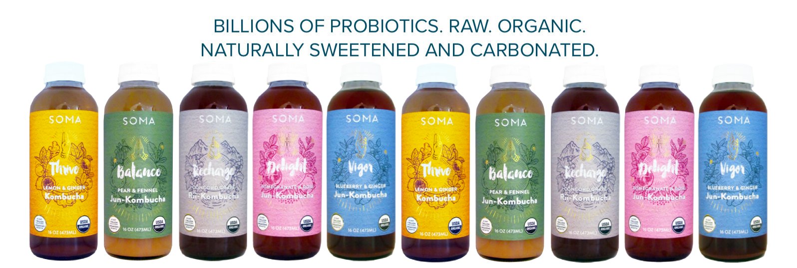 SOMA_Kombucha+lineup+medium_OG 2024.jpeg