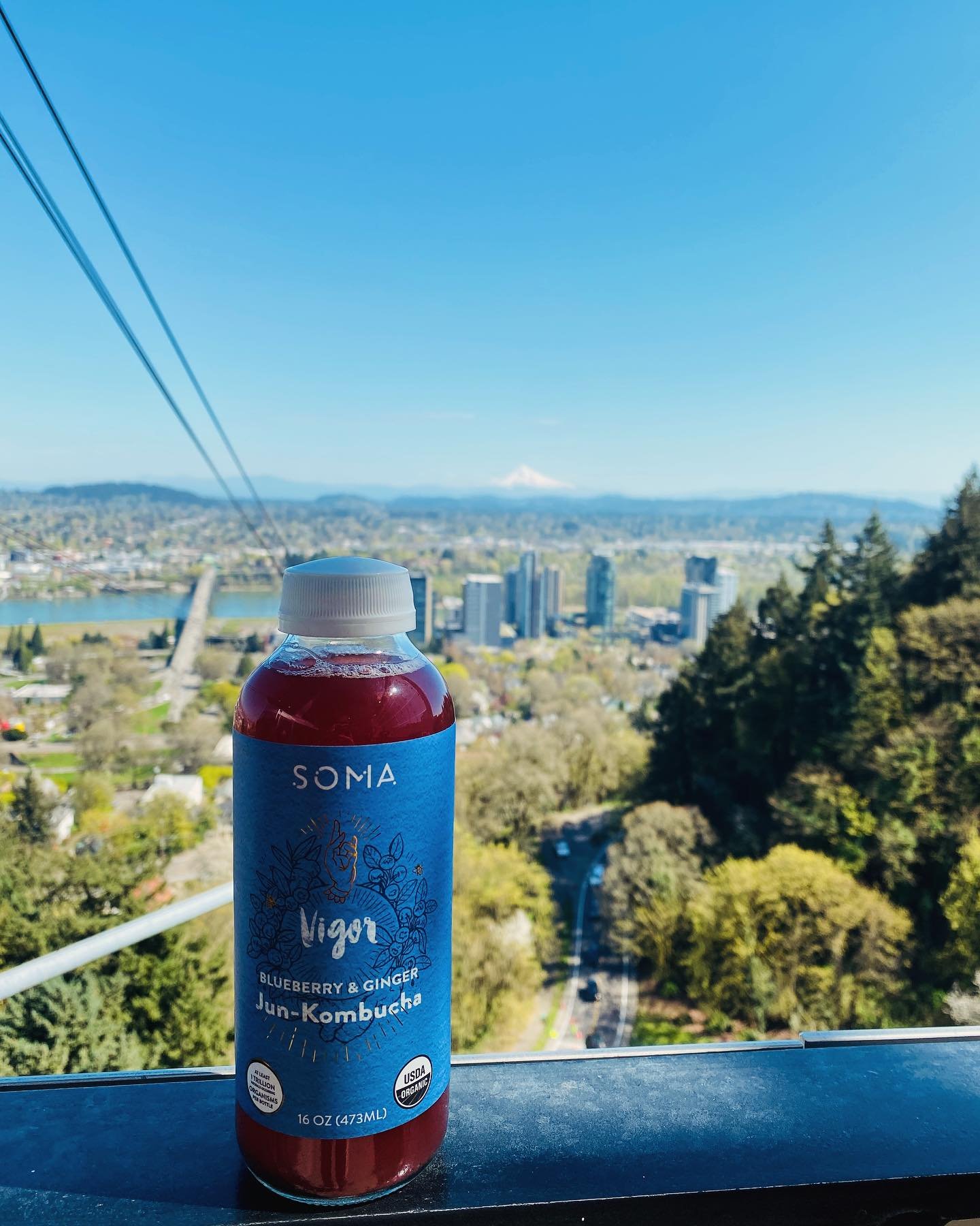 To know SOMA&rsquo;s Vigor Jun-Kombucha, is to ❤️ it.  This one is packed with antioxidants from both blueberries and ginger, and has billions of probiotics thanks to our LONG FERMENTATION process. It&rsquo;s available in both of our taprooms, stores