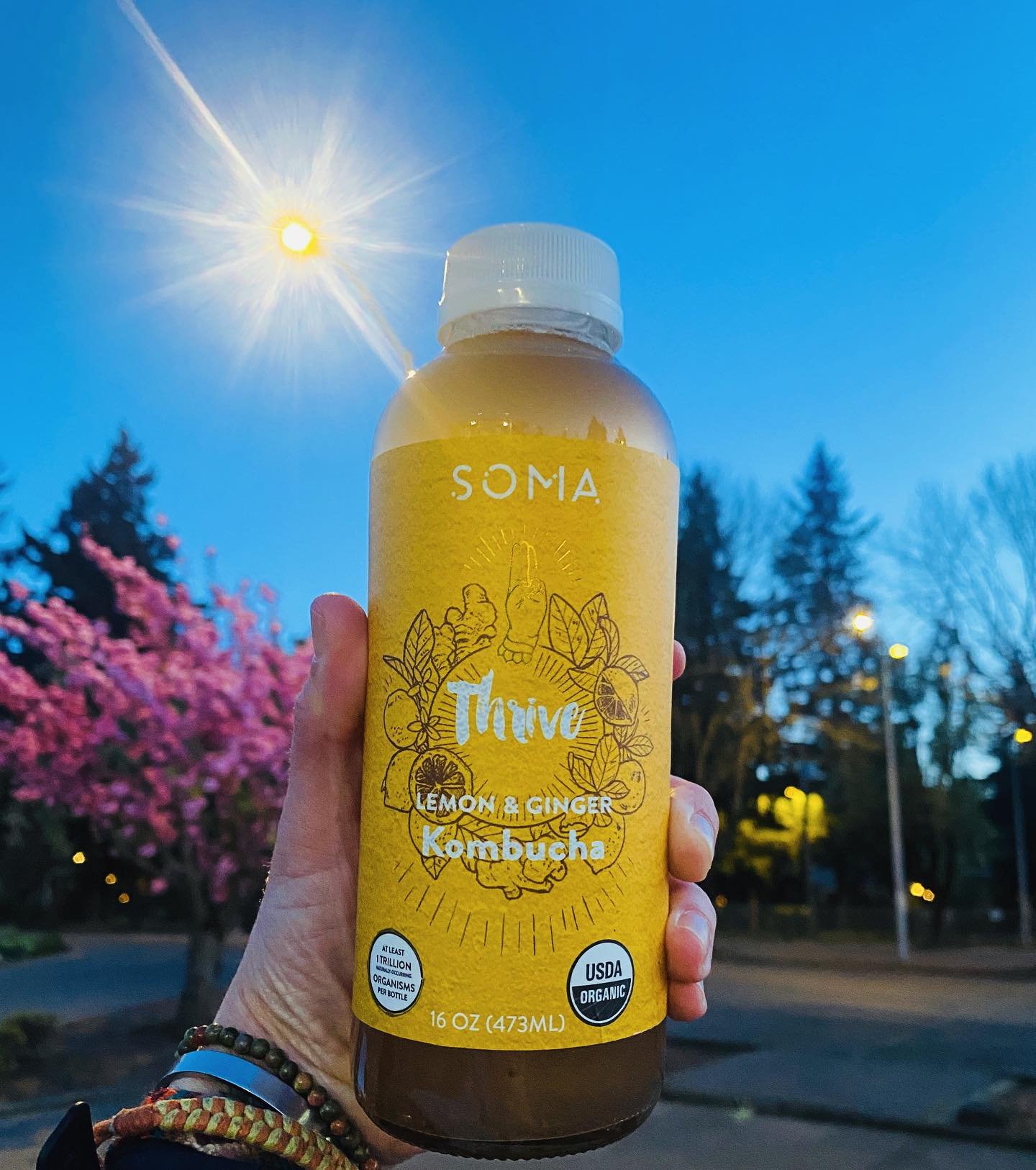 Have you tried our THRIVE Kombucha yet?! The refreshing blend of lemon and ginger is off the hook, and like all of our flavors, it contains BILLIONS of PROBIOTICS.  It&rsquo;s been said that your gut is like your second brain and effects overall phys