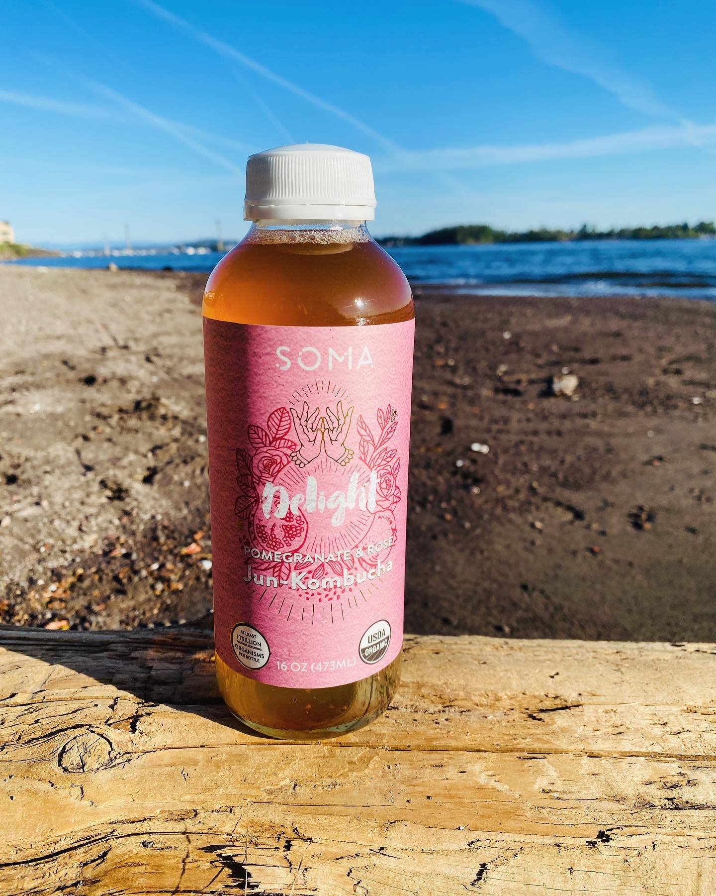 Is anything better than a booch on the beach?! We think not.  In fact, We would describe it as a pure and utter DELIGHT.  Moments like these are what this flavor was named after. 

This is SOMA&rsquo;s Delight, a Pomegranate and Rose Jun-Kombucha. Ou