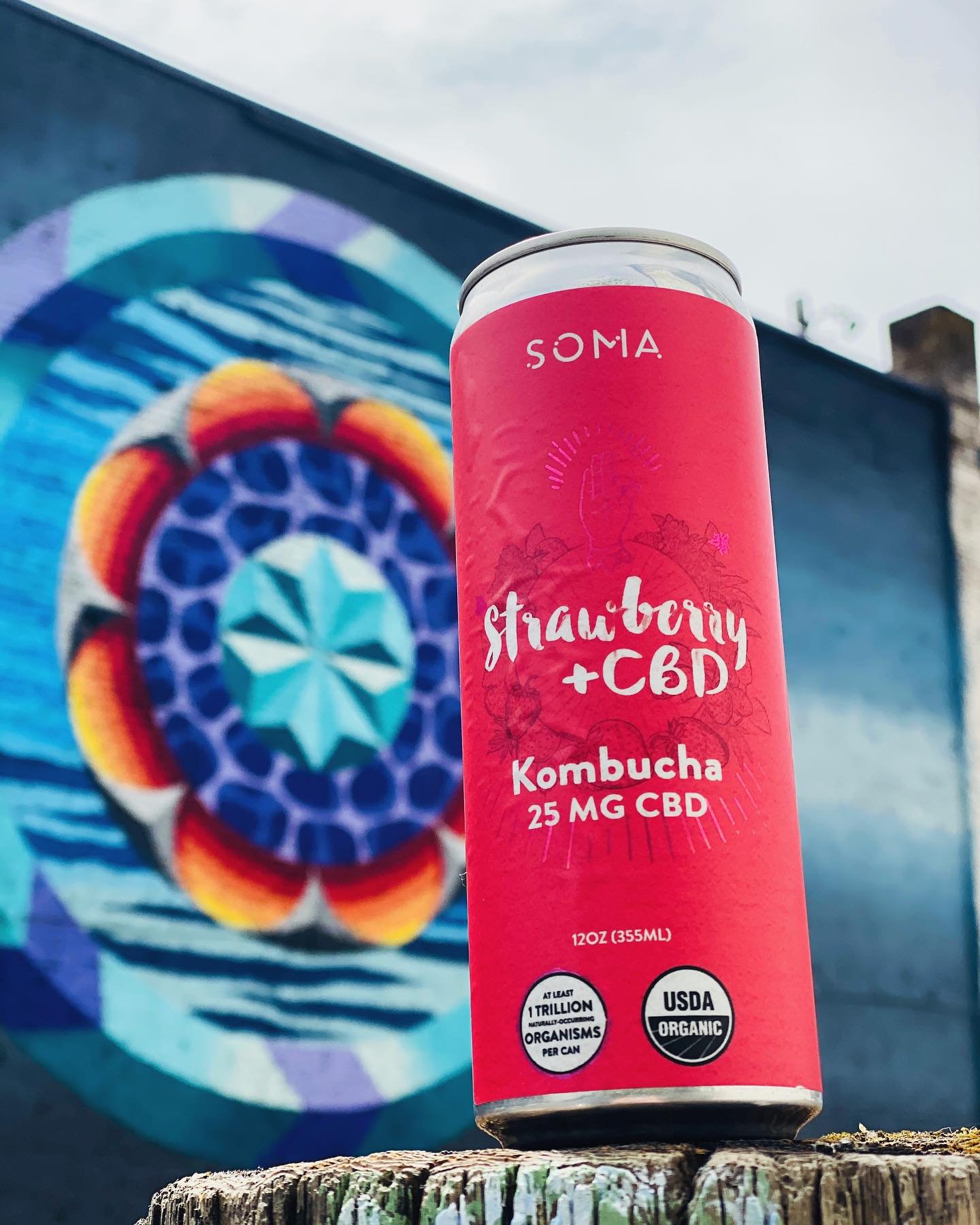 &ldquo;🍓✨ Sip, Savor, and Soothe with SOMA&rsquo;s Strawberry +CBD Kombucha! 🌿🚀 Get ready for a flavor blast with the highest probiotics, natural fizz, and our extended fermentation process. Plus, with added CBD, it&rsquo;s not just a drink &ndash