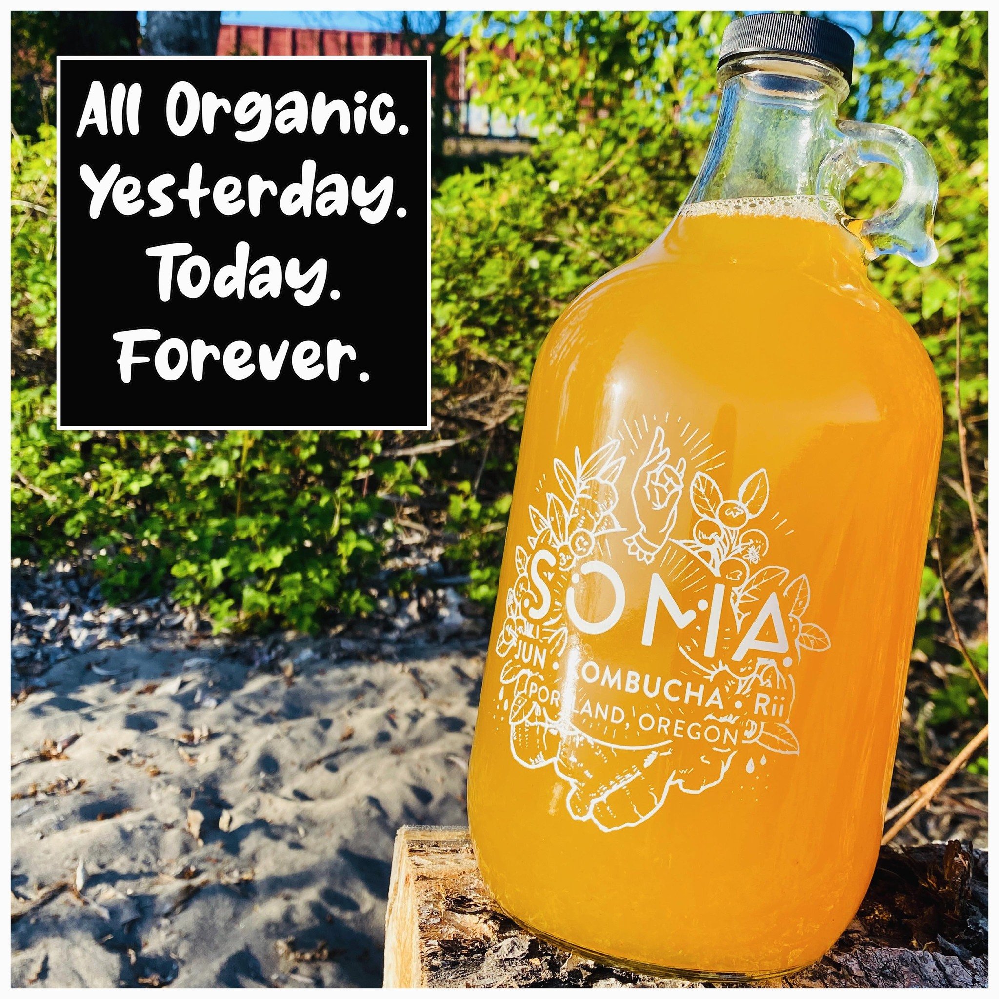Soma Kombucha: Where Organic is a Way of Life 

At Soma Kombucha, we&rsquo;ve been committed to organic practices from the very beginning, and that&rsquo;s a promise we intend to keep forever. From our carefully selected ingredients to our brewing pr