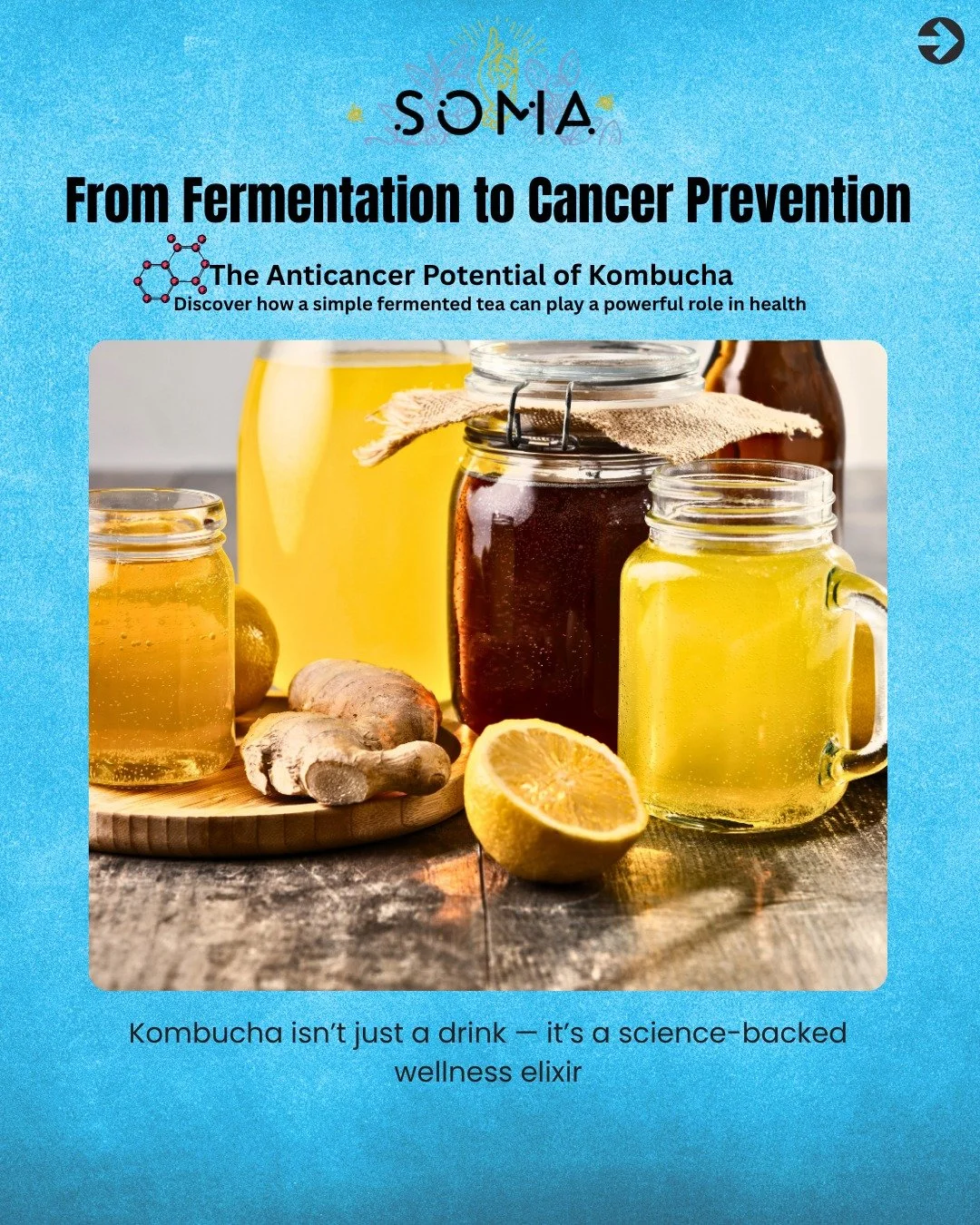 Soma Kombucha isn&rsquo;t just a fizzy drink 🍵&mdash; it&rsquo;s a fermented tea rich in bioactive compounds.

✅ Fermentation boosts its chemical power
✅ These compounds can slow cancer cell growth
✅ Supports your body&rsquo;s natural defense system
