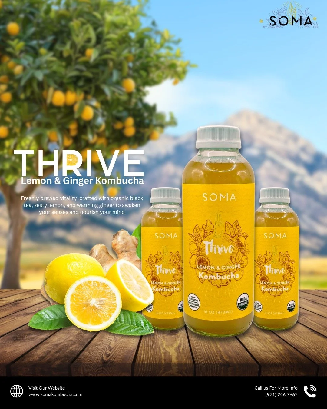 Feeling low? Let lemon &amp; ginger light you up 🍋
One sip of Thrive Kombucha and your energy, mood, and vibe all rise together.

#kombucha #kombuchatea #probiotics #guthealth #fermentation #booch #wellness #wellnessjourney #holistichealth #wellness