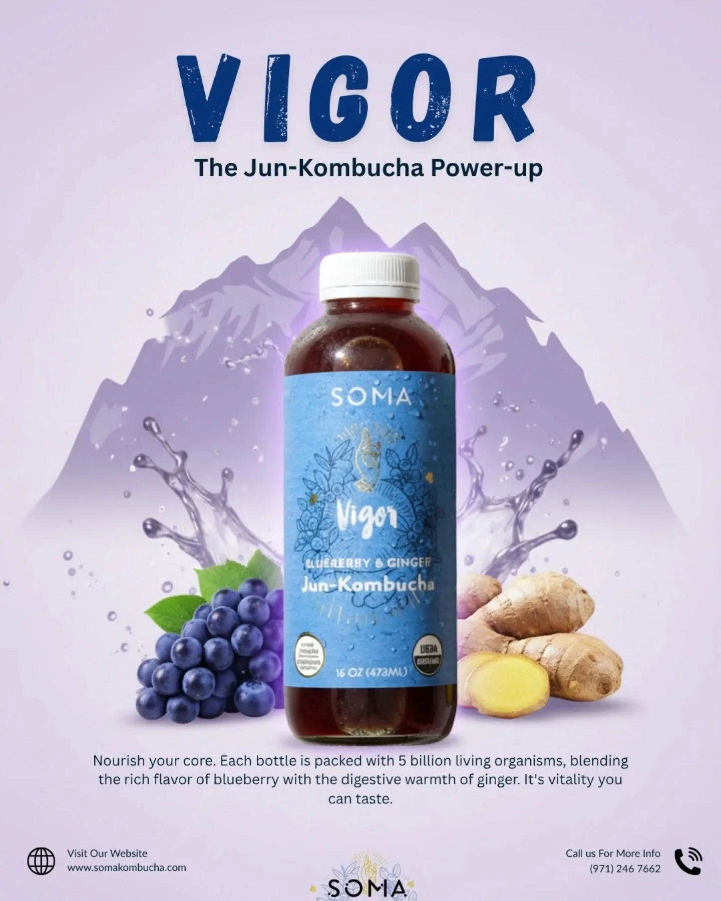 It's not just sensed, it's experienced. 

We don't just claim it&mdash;we deliver. VIGOR: Blueberry &amp; Ginger Jun-Kombucha.

Nourish your core and unlock the smooth, sustained energy your lifestyle demands. No crash, just pure vitality.

#kombucha