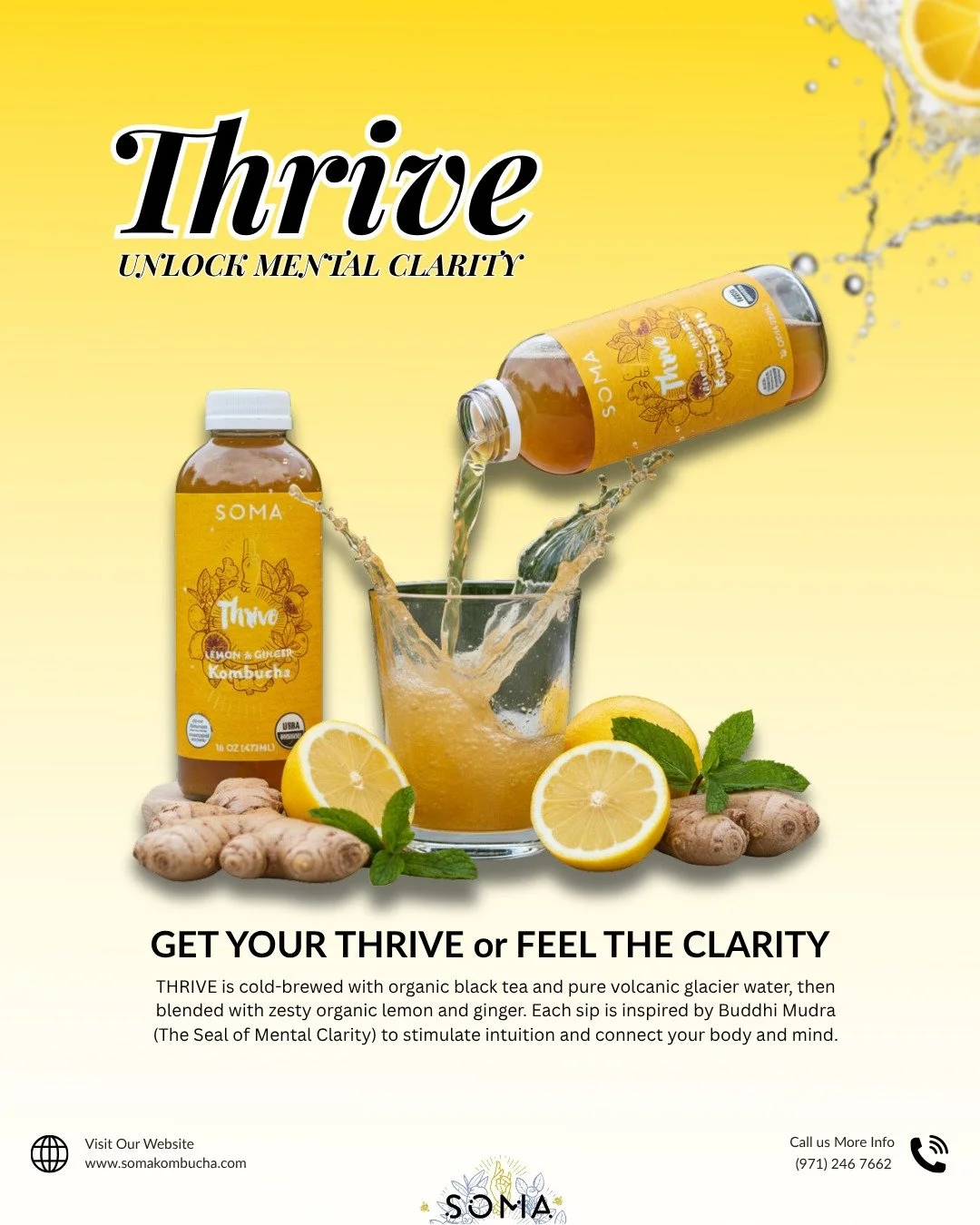 Your Daily Detox, Zested. Energize, support your health, and taste the power of organic lemon and ginger. 💪

#kombucha #kombuchatea #probiotics #guthealth #fermentation #booch #wellness #wellnessjourney #holistichealth #wellnesslifestyle #selfcare #