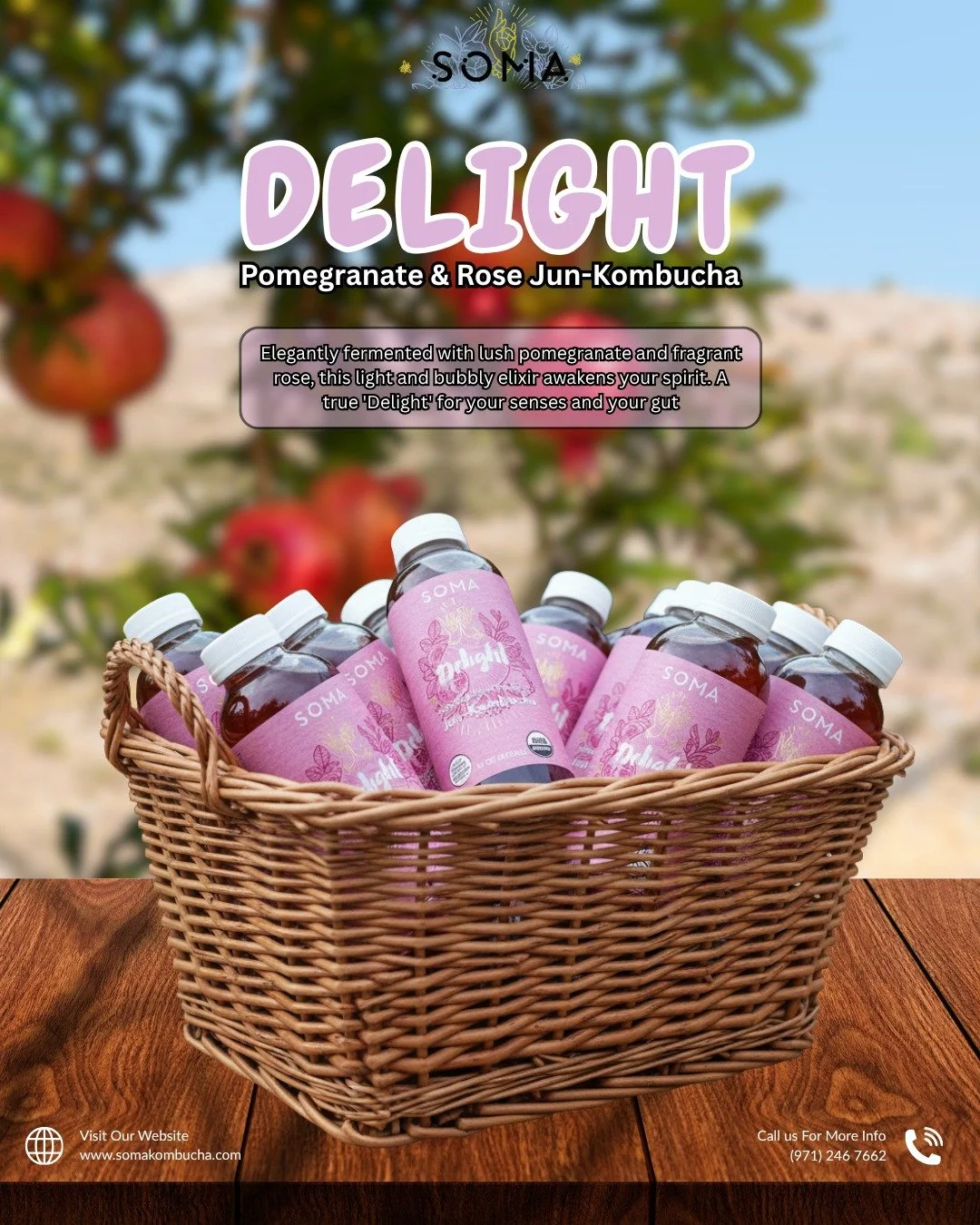 Savor the sweetness of a blissful moment. Our Delight Jun-Kombucha blends lush Pomegranate and fragrant Rose for an elixir that truly awakens your spirit and nourishes your gut. Treat yourself to the taste of pure joy.

#kombucha #kombuchatea #probio
