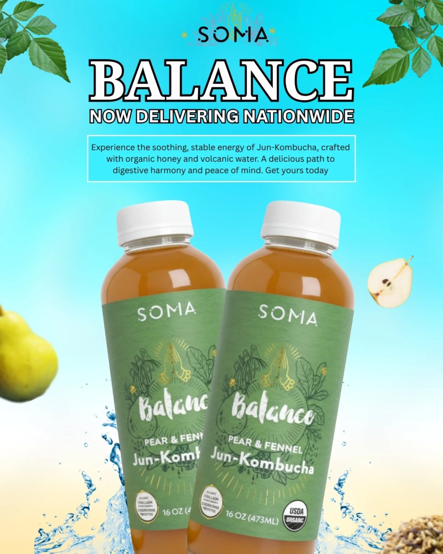 😌 Sweetened with organic honey, flavored with Pear &amp; Fennel. Taste the difference of Jun-Kombucha. Order your SOMA Balance today!
.
.
#kombucha #kombuchatea #probiotics #guthealth #fermentation #booch #wellness #wellnessjourney #holistichealth #