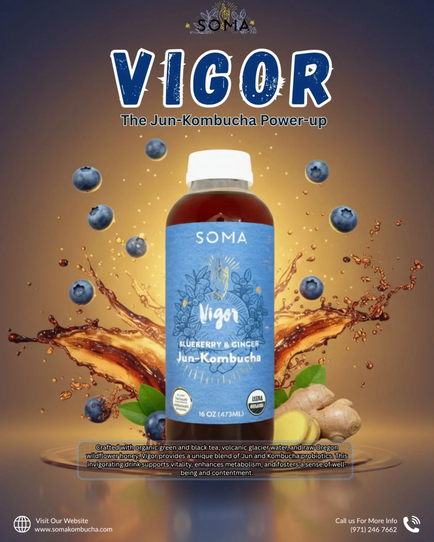 🌊 Why does VIGOR taste so clean? It starts with Volcanic Glacier Water.

We don't cut corners. VIGOR is more than just a drink; it's a commitment to purity. Our Blueberry Ginger Jun-Kombucha is cold-brewed using pure volcanic glacier water, providin