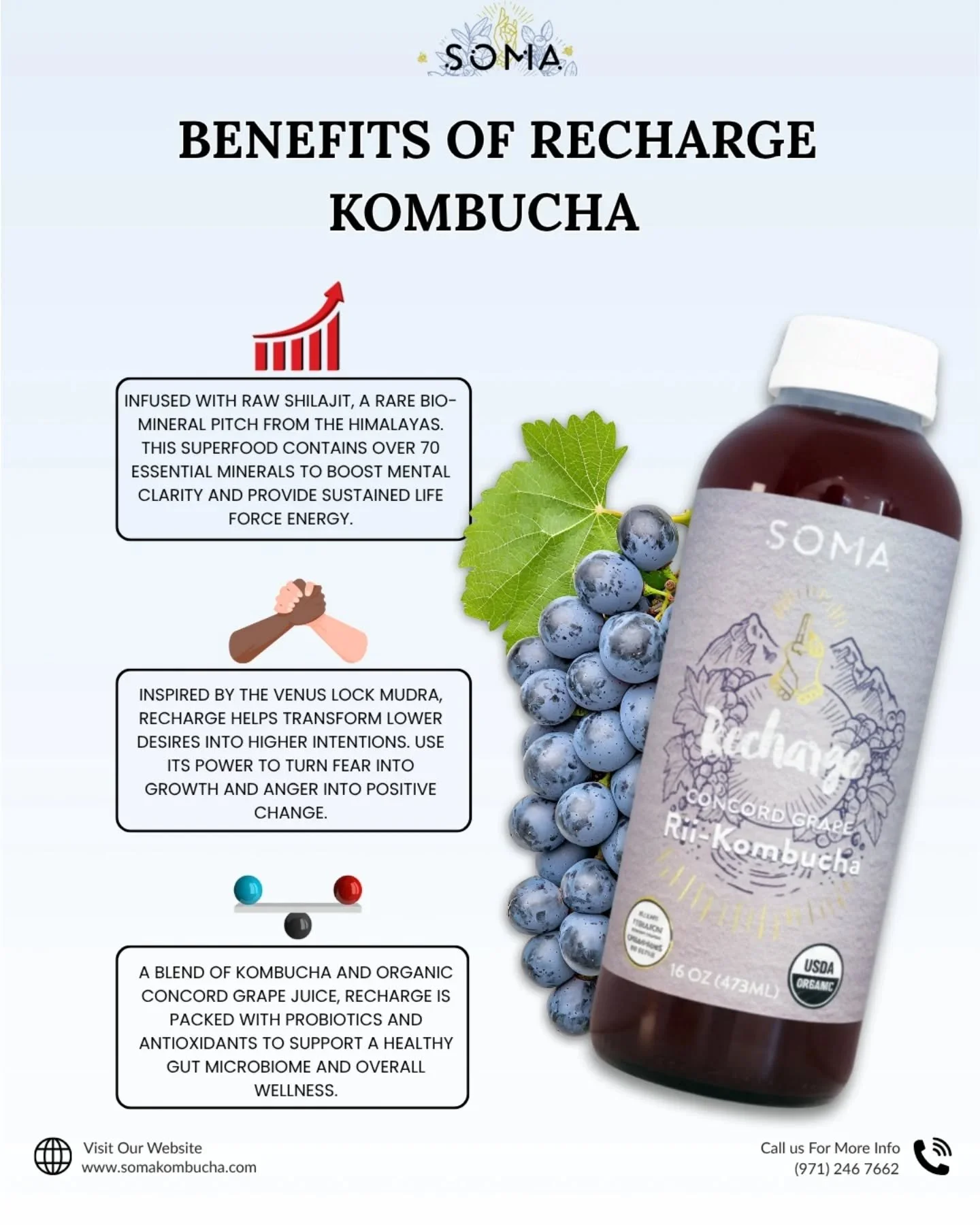 What if your daily drink held the life force of the Himalayas? 🏔️ 

RECHARGE Rii&trade;-Kombucha is cold-brewed in pure volcanic water and supercharged with Shilajit&mdash;a rare bio-mineral pitch used for millennia. This is the ultimate fuel for co