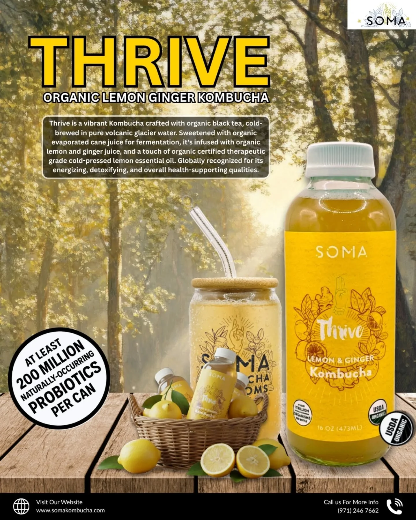 Imagine sunshine, a gentle zing, and pure, living refreshment. That's SOMA THRIVE Organic Lemon Ginger Kombucha. Handcrafted with volcanic glacier water and vibrant organic ingredients to awaken your senses and nourish your soul. Sip the brilliance. 