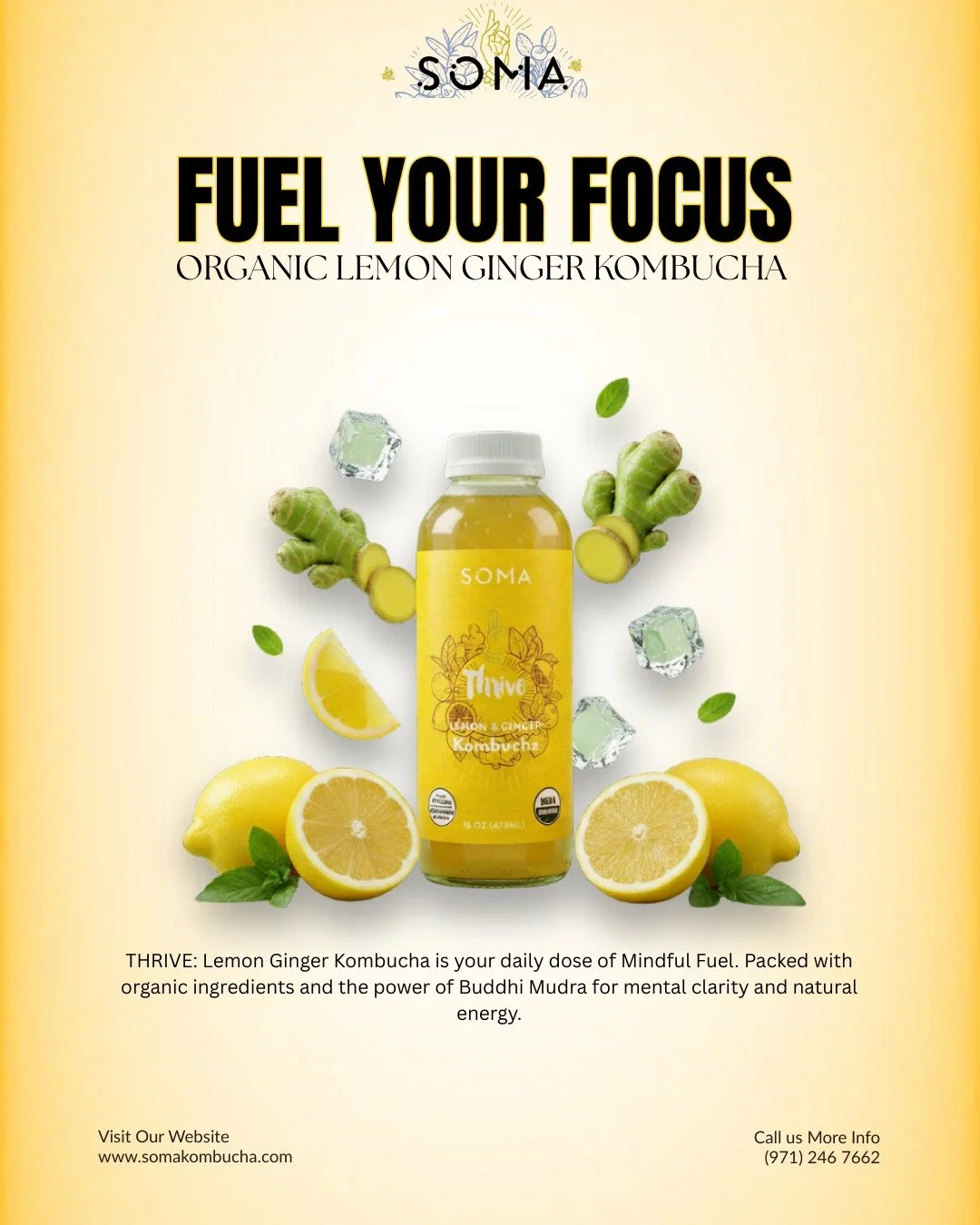 Tired of the afternoon slump? It's time to THRIVE. 🍋✨

More than just a refreshing drink, our Lemon Ginger Kombucha is your daily dose of Mindful Fuel. Cold-brewed with organic black tea and pure volcanic glacier water, it&rsquo;s packed with natura