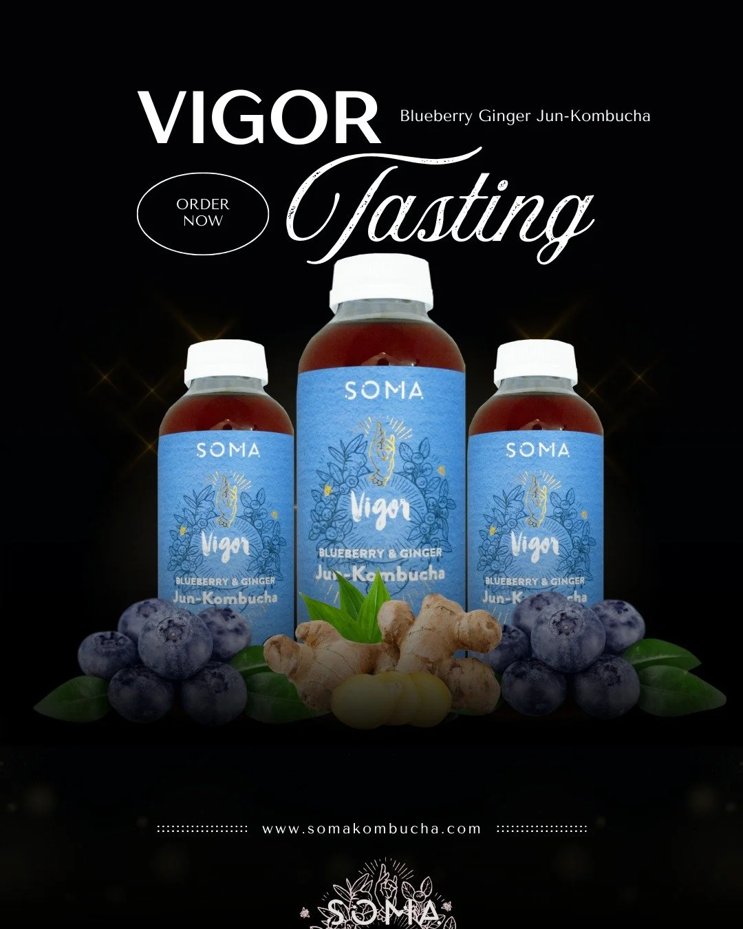 It's not just sensed, it's experienced.

We don't just claim it&mdash;we deliver. VIGOR: Blueberry &amp; Ginger Jun-Kombucha.

Nourish your core and unlock the smooth, sustained energy your lifestyle demands. No crash, just pure vitality.

#kombucha 