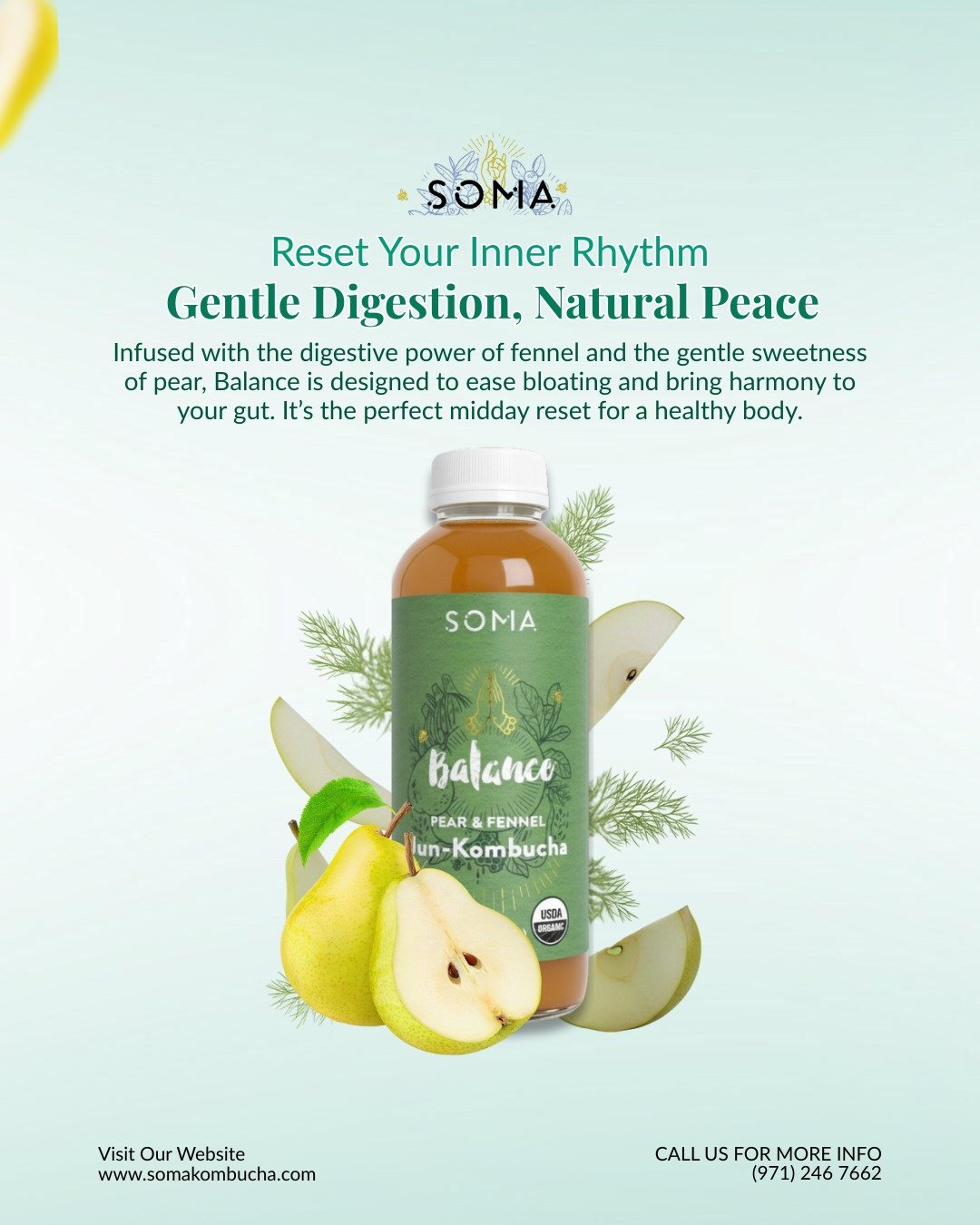 Feeling heavy or bloated after lunch? It&rsquo;s time to rebalance. ⚖️ 

Meet Balance&mdash;our Pear &amp; Fennel Jun-Kombucha crafted for those who prioritize gut health. Fennel has been used for centuries to aid digestion, and when paired with our 