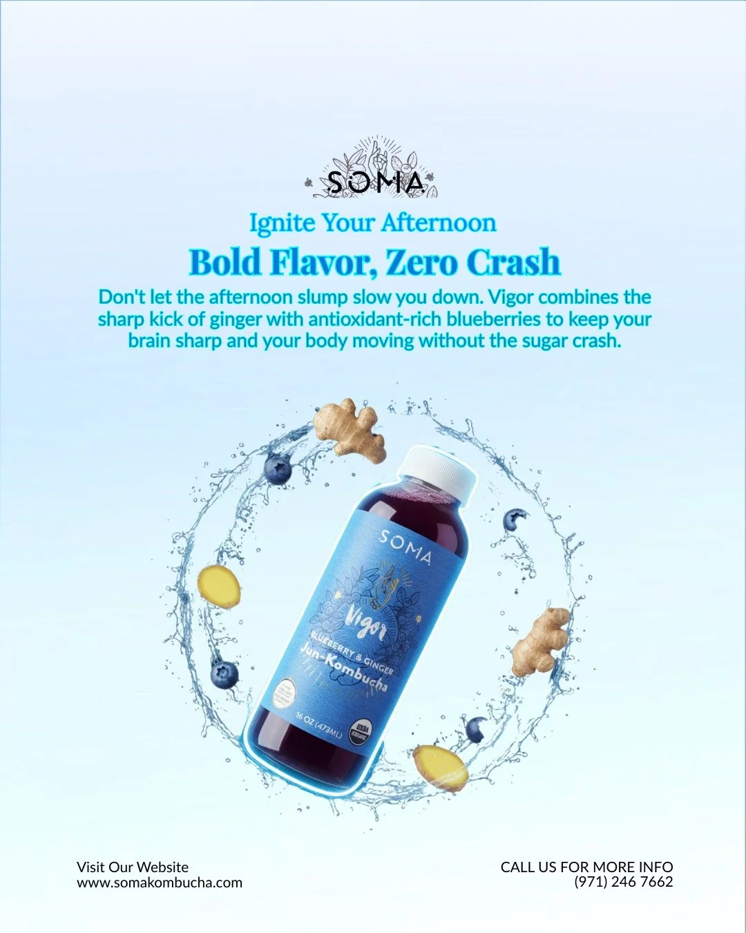 When coffee feels too heavy but you need a lift, reach for Vigor. The spicy ginger awakens your senses while the blueberries provide the essential antioxidants your body craves. It&rsquo;s clean energy that actually tastes like a reward.

Who else ne