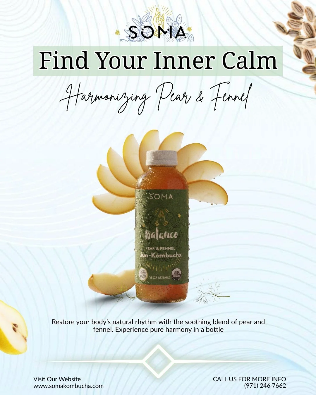 Life is better when you&rsquo;re in balance. 🍐🌿 Sip on the gentle notes of Pear and Fennel to ground yourself during a busy day.

#SeattleDrink #KombuchaTime #CapitolHillSeattle #SeattleFoodie#Kombucha #GutHealth #Probiotics #Fermentation #Seattle 