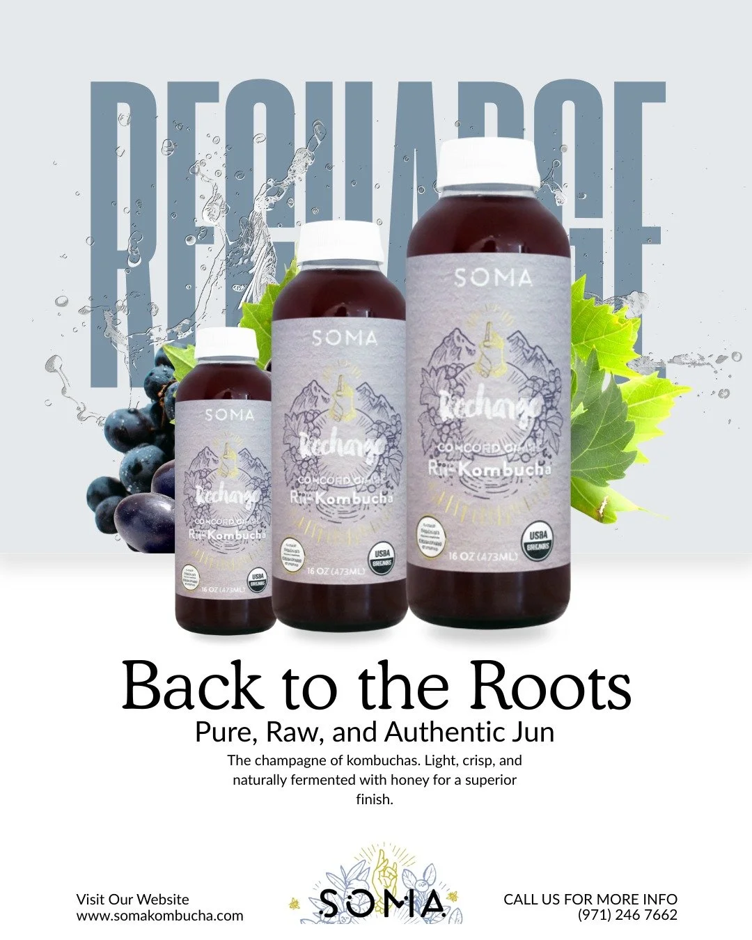 Sometimes, simplicity is the ultimate sophistication. 🍯✨ Experience the authentic taste of Jun Kombucha with our Recharge blend.

#SomaKombucha #BalanceMatters #WellnessJourney #FindYourBalance #kombucha #kombuchatea #probiotics #guthealth #fermenta