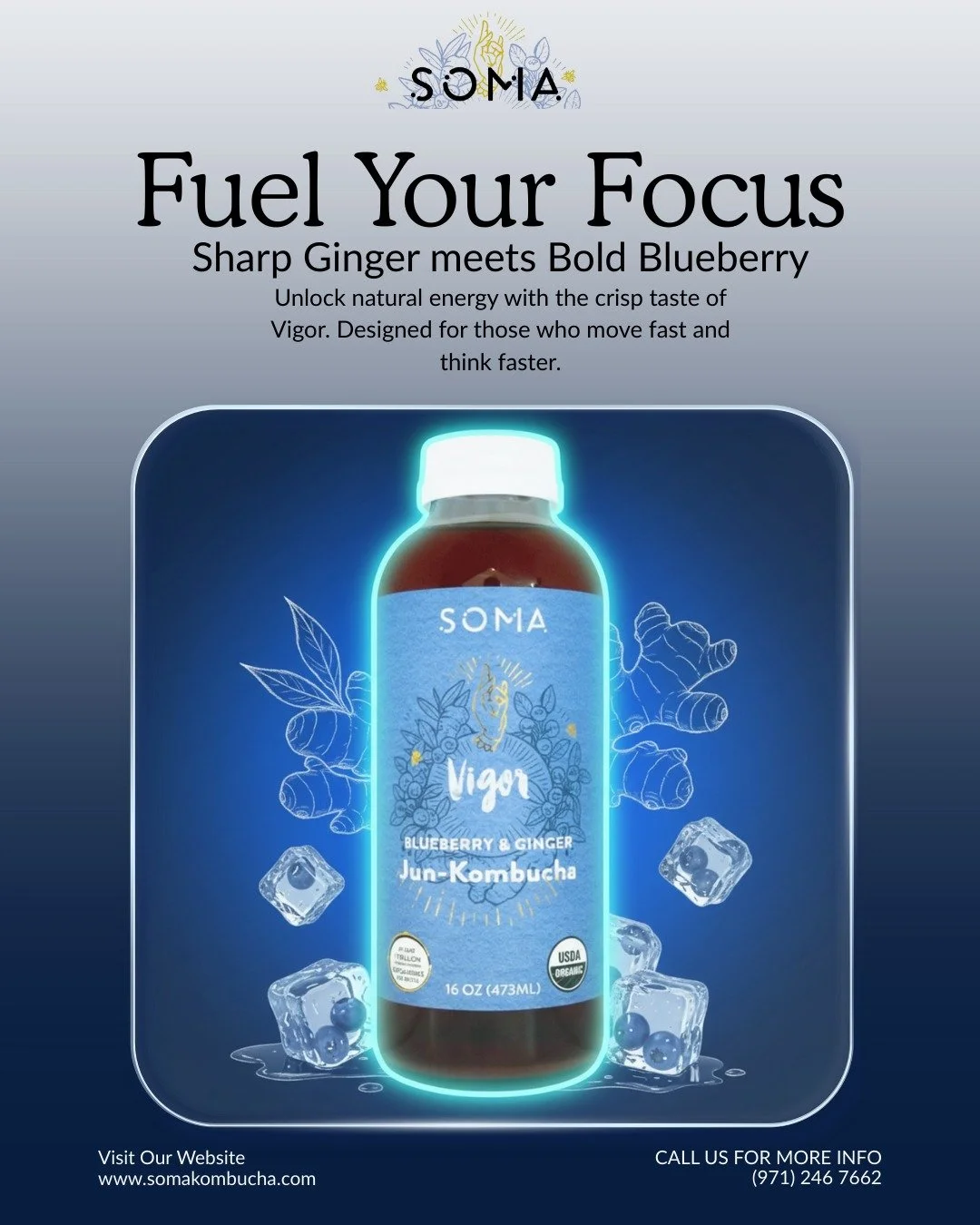 Don't just survive the day&mdash;conquer it. 🫐⚡ Vigor is the perfect Jun-Kombucha blend to keep your energy high and your gut happy.

#SeattleDrink #KombuchaTime #CapitolHillSeattle #SeattleFoodie#Kombucha #GutHealth #Probiotics #Fermentation #Seatt