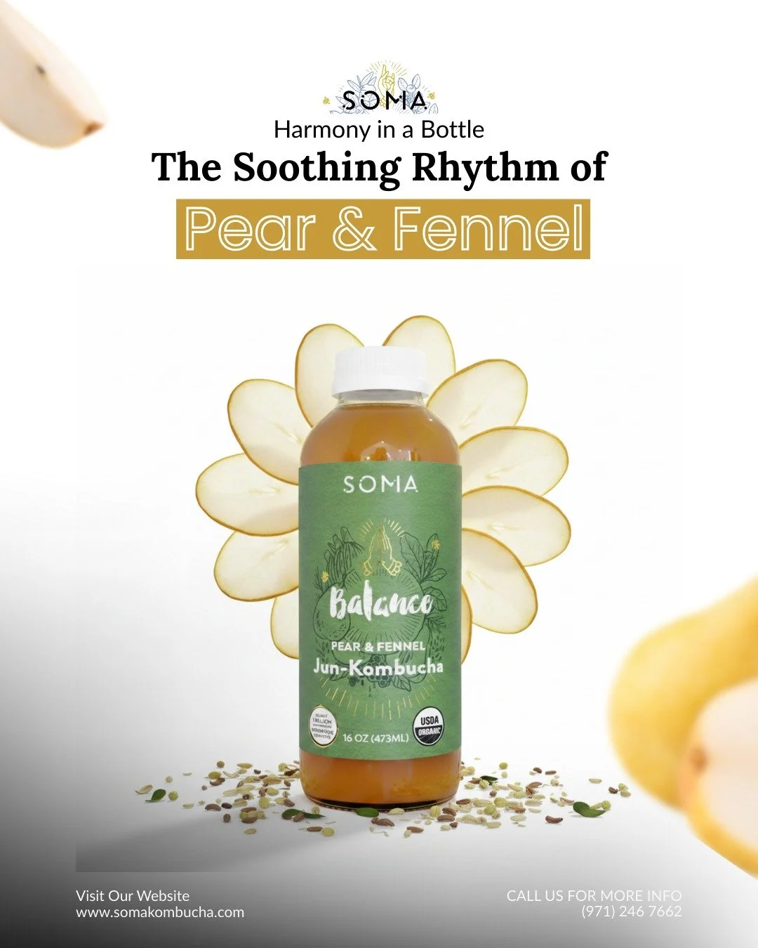 Take a deep breath and a long sip. 🍐🌿 Balance is more than a name; it&rsquo;s a feeling. Restore your gut health with our most gentle blend yet.

#SomaBalance #GutHarmony #PearFennel #ZenSips #WellnessJourney
#SeattleDrink #KombuchaTime #CapitolHil