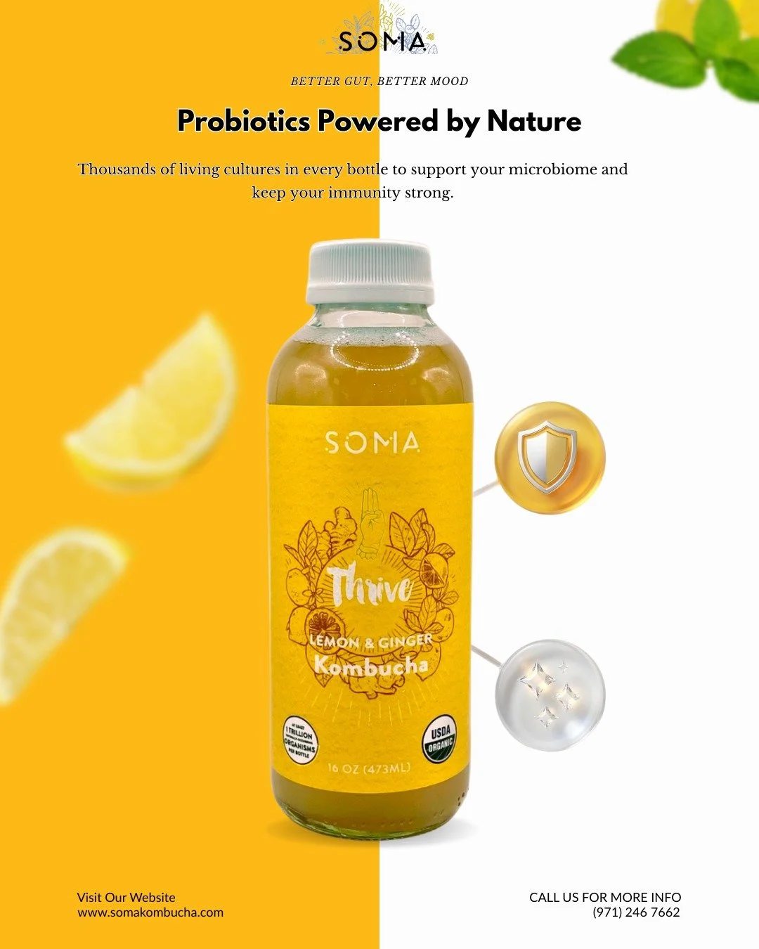 It all starts in the gut! 🍋⚡ Thrive isn't just a drink; it's a daily ritual for a stronger, happier you.

#SeattleDrink #KombuchaTime #CapitolHillSeattle #SeattleFoodie#Kombucha #GutHealth #Probiotics #Fermentation #Seattle #PNW #KombuchaOnTap #Craf