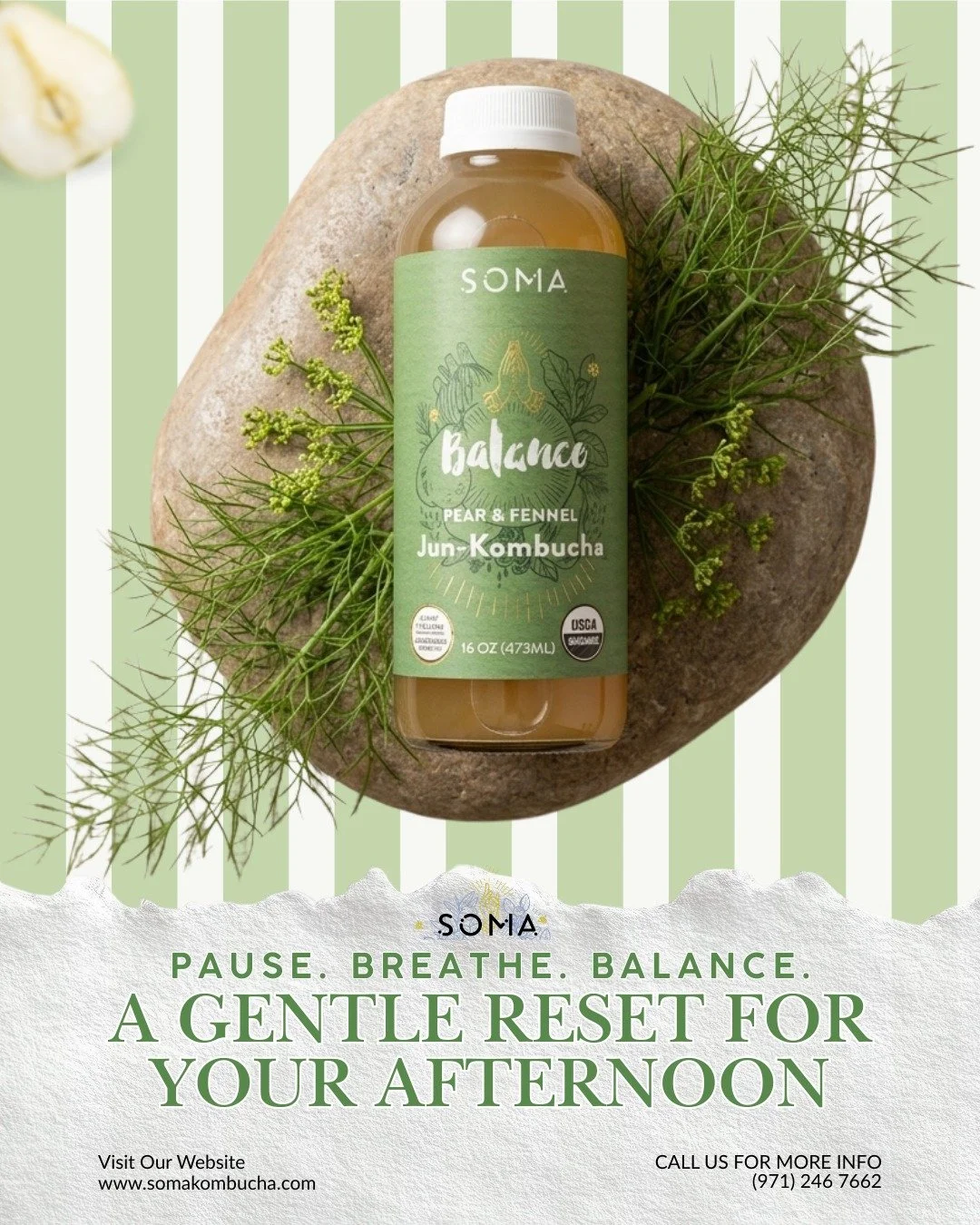 Take five minutes for yourself. 🍐🌿 Realign your gut and your mind with the subtle, sophisticated notes of Balance.

#SomaBalance #MidDayReset #PearFennel #GutHealth #Mindfulness#LowCalorie #SomaBalance #HealthyChoices #GuiltFreeSips #CleanLabel#Wor