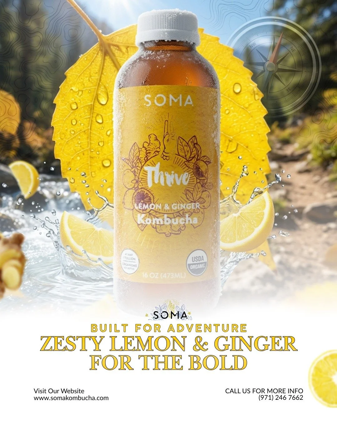 Where will your gut take you this weekend? 🍋⛰️ Pack the zest of Thrive and keep your immunity as strong as your spirit.

#SomaAdventure #Thrive #OutdoorWellness #LemonGinger #ExploreHealth#SeattleDrink #KombuchaTime #CapitolHillSeattle #SeattleFoodi