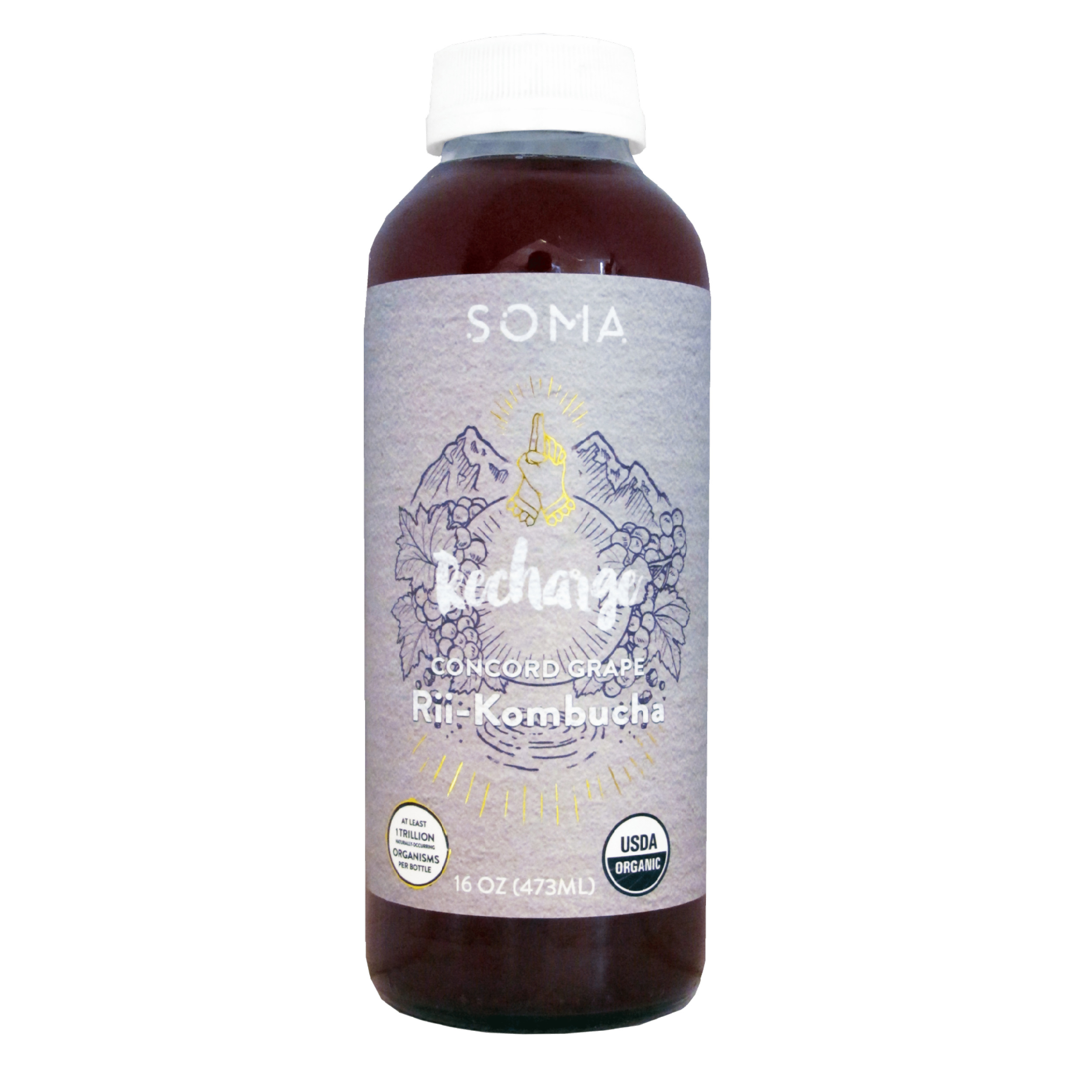 SOMA Kombucha and Jun - KOMBUCHA