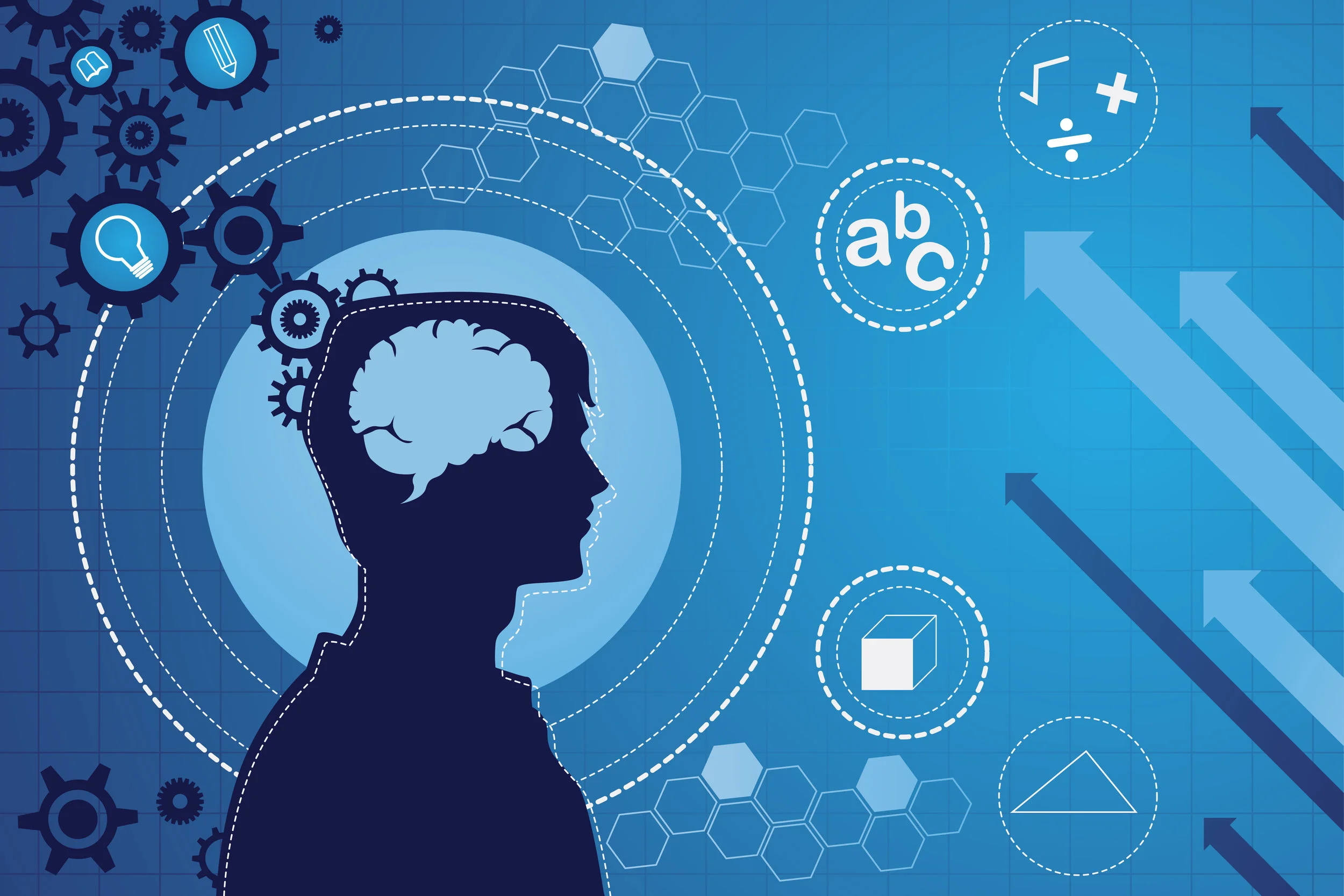 bigstock-Human-Brain-Function-Concept-33306143.jpg