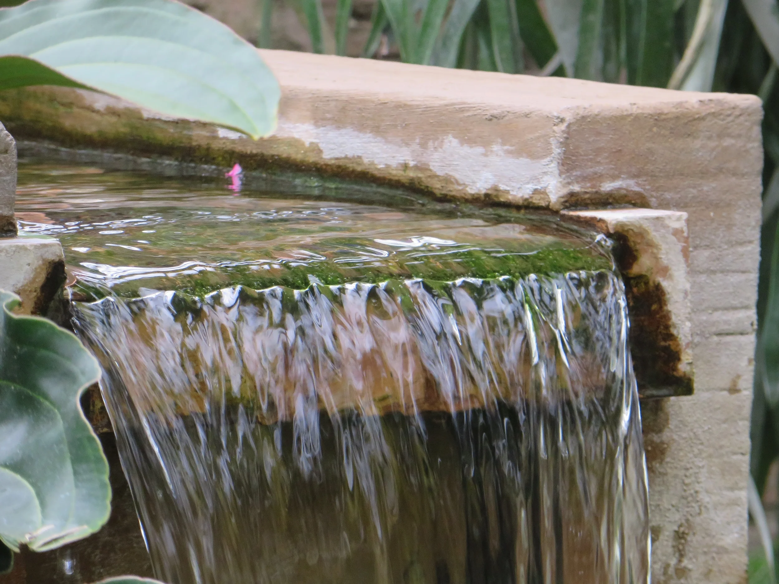  A nice waterfall feature at Chicago Botanical Garden 
