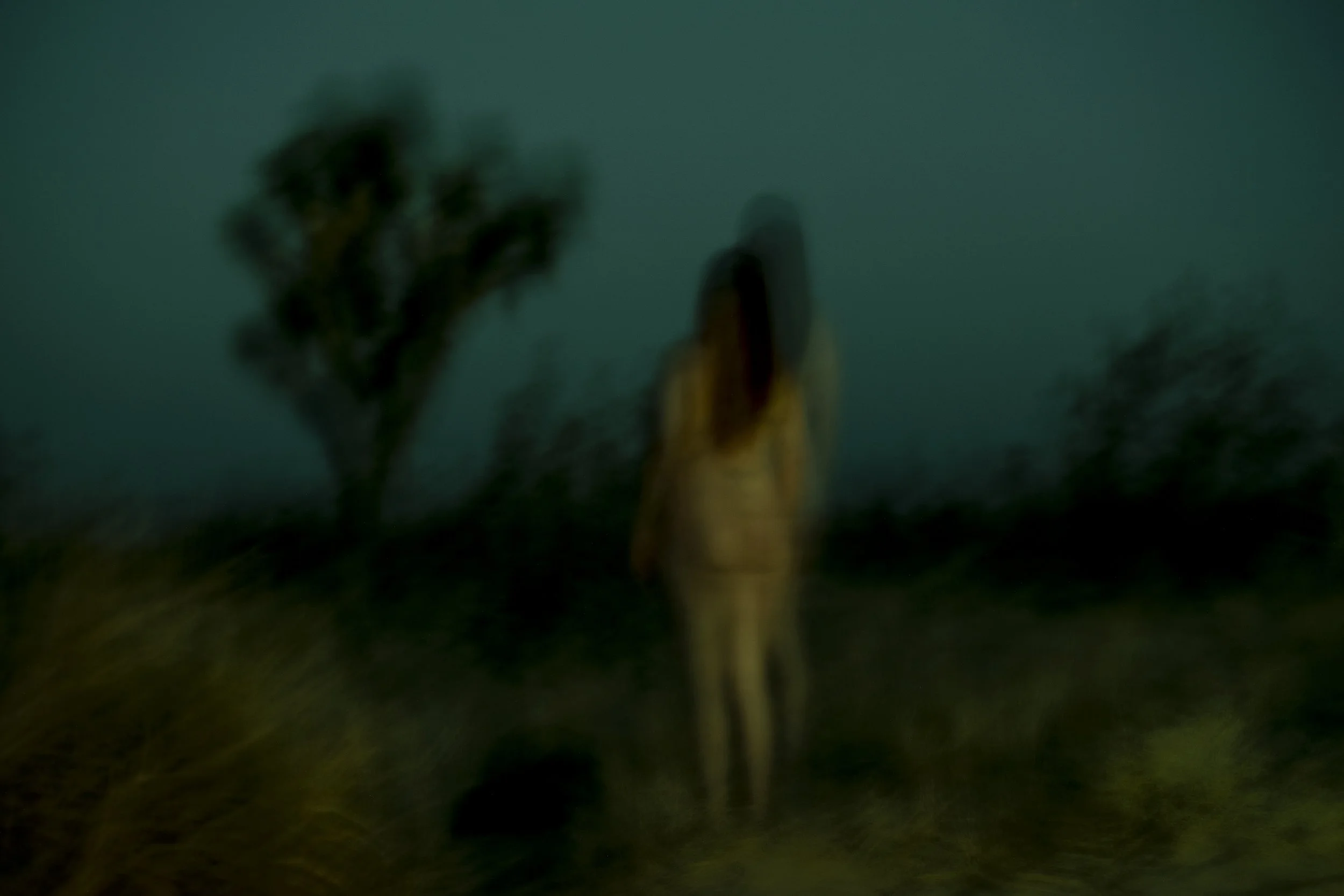julia-sh_JT1.jpg