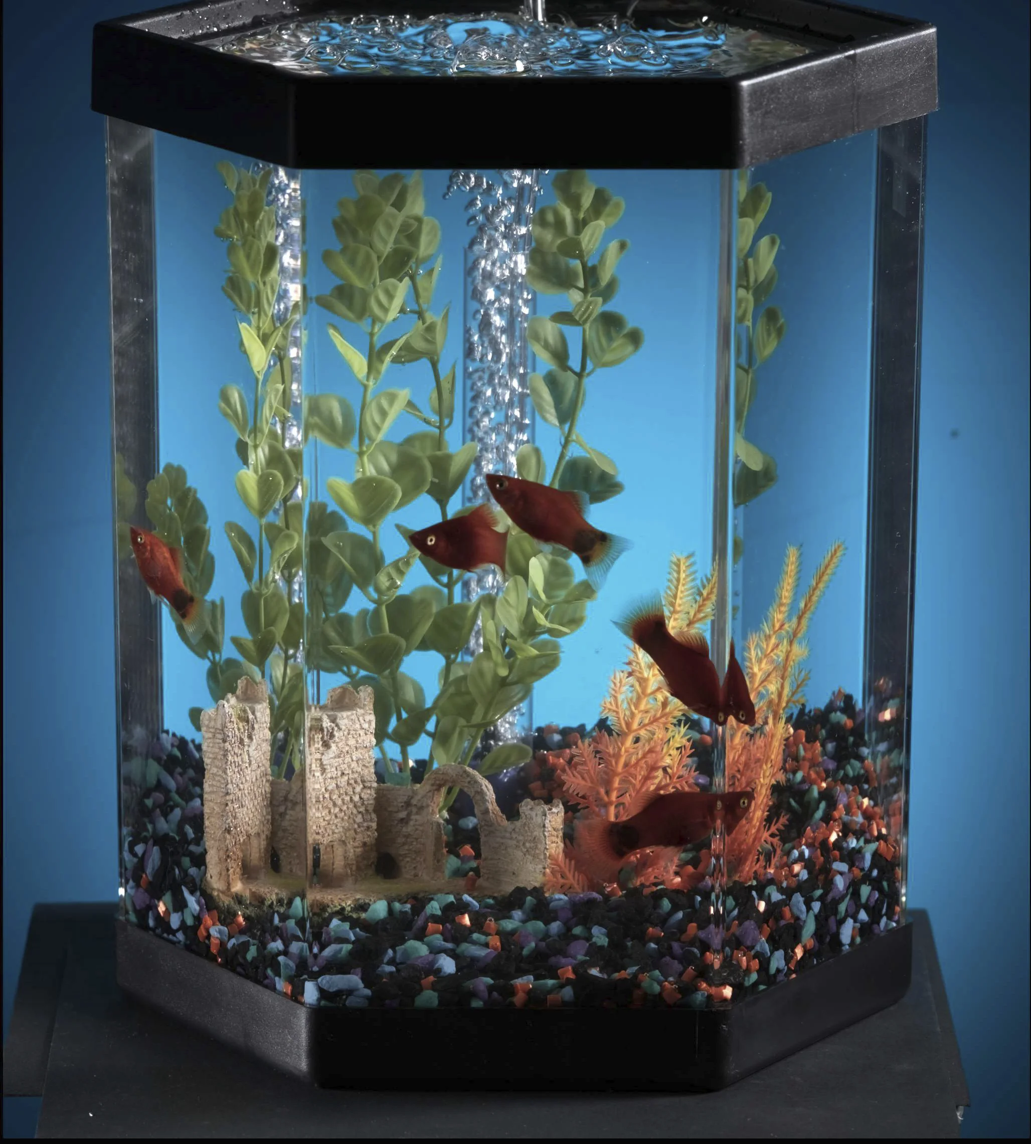 fish tank set