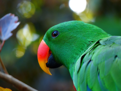 Photo source: pixabay