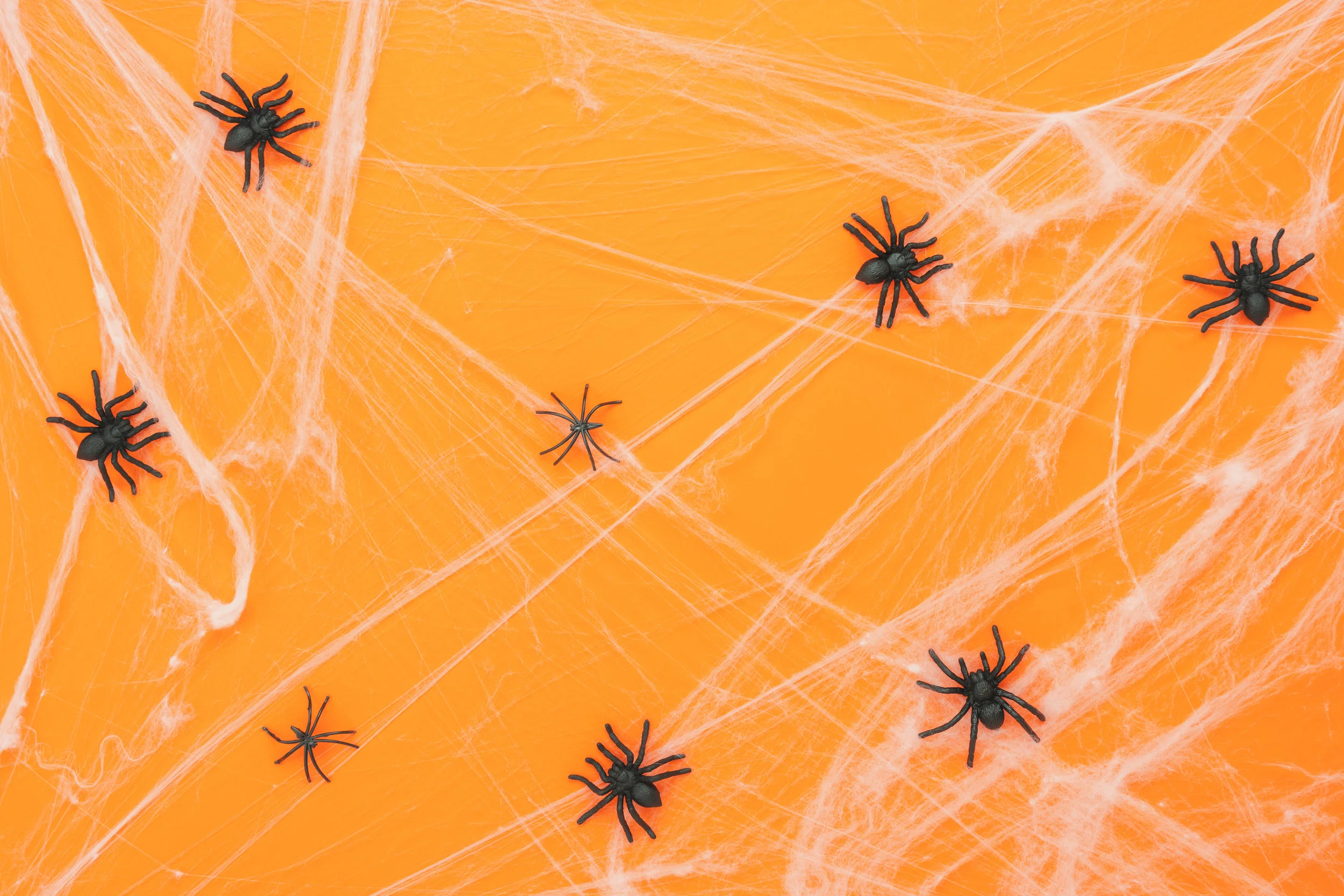Halloween Spiders - OCT 22, 2018.jpg