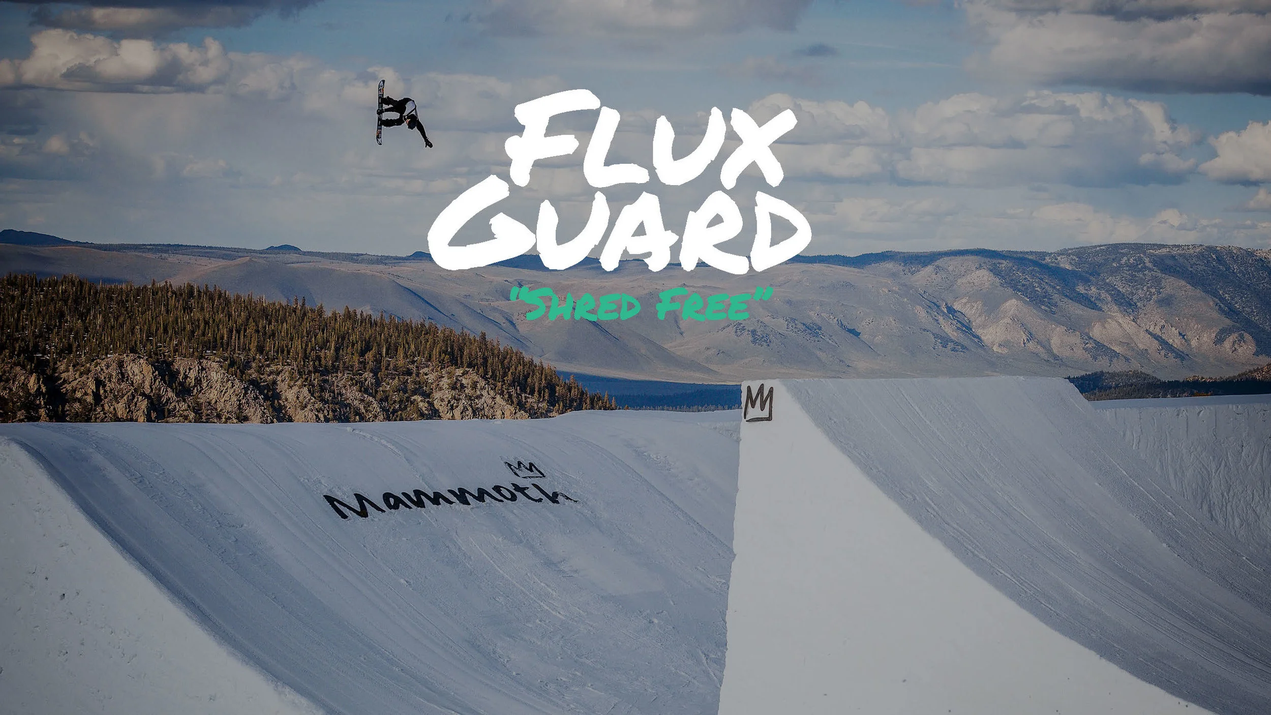 FluxGuard_Thesis_Defensev2.jpg