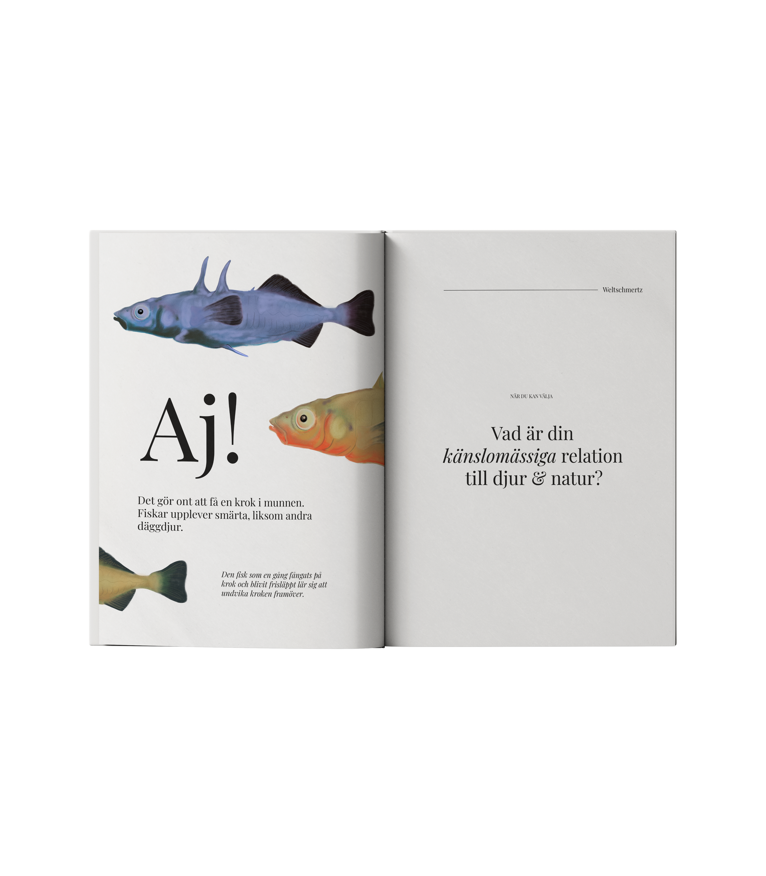 Fiskar känner också smärta