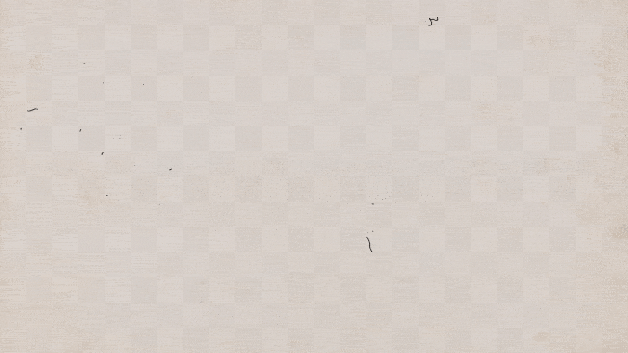 finches.gif