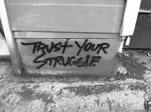 photo via yojoculture.com