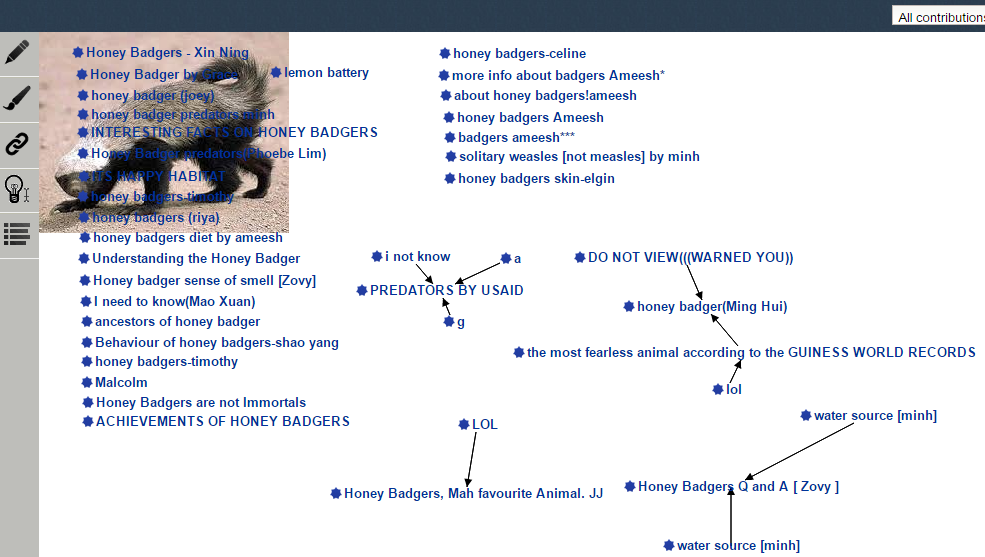 Fig. 3. KF view 'Honey badgers'