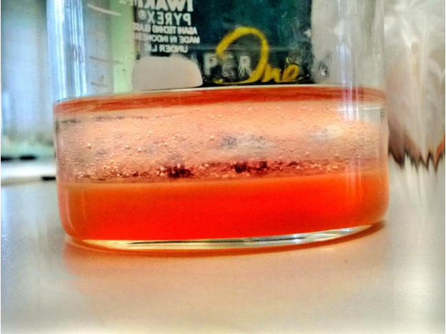 Fig. 1. Result of the strawberry DNA experiment.