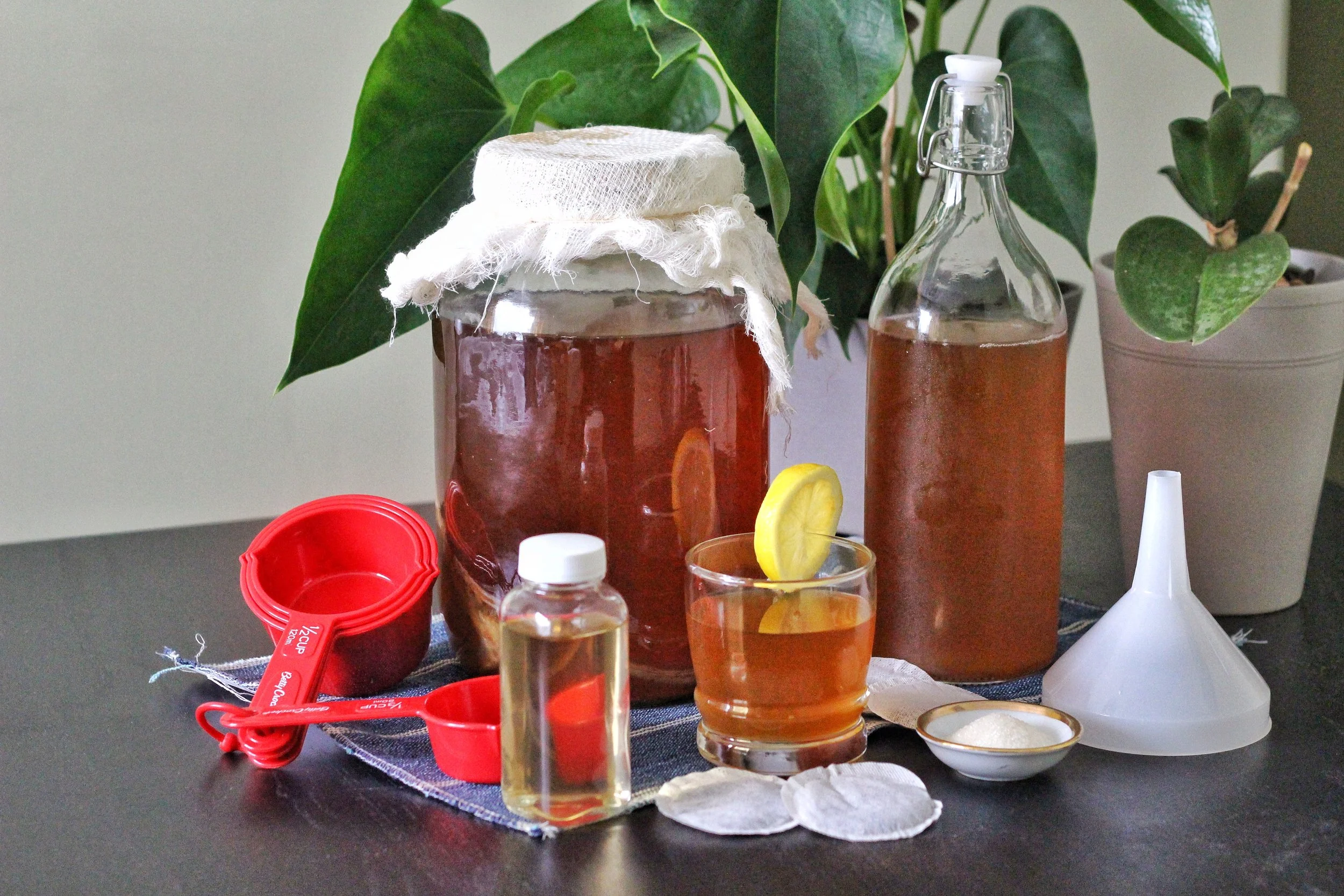 The Market & Co Experience at Upper Canada Mall - How To Make Kombucha At Home